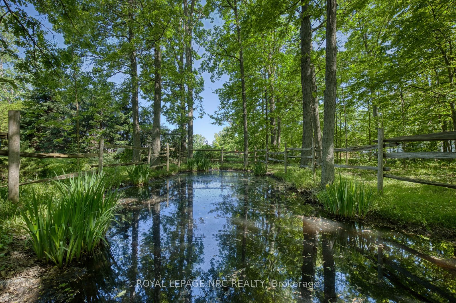 270 Doans Ridge Road Property Photo 4