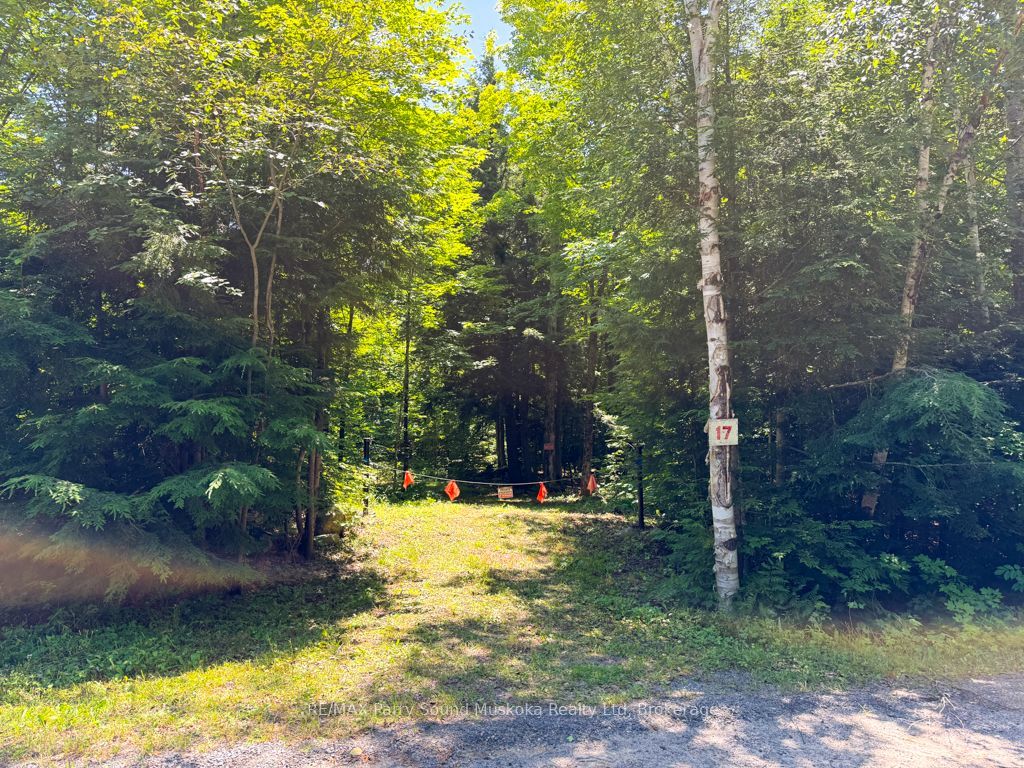 17 White Beaver Trail Property Photo 1