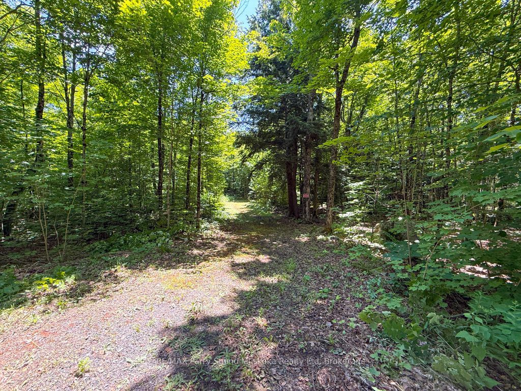 17 White Beaver Trail Property Photo 2
