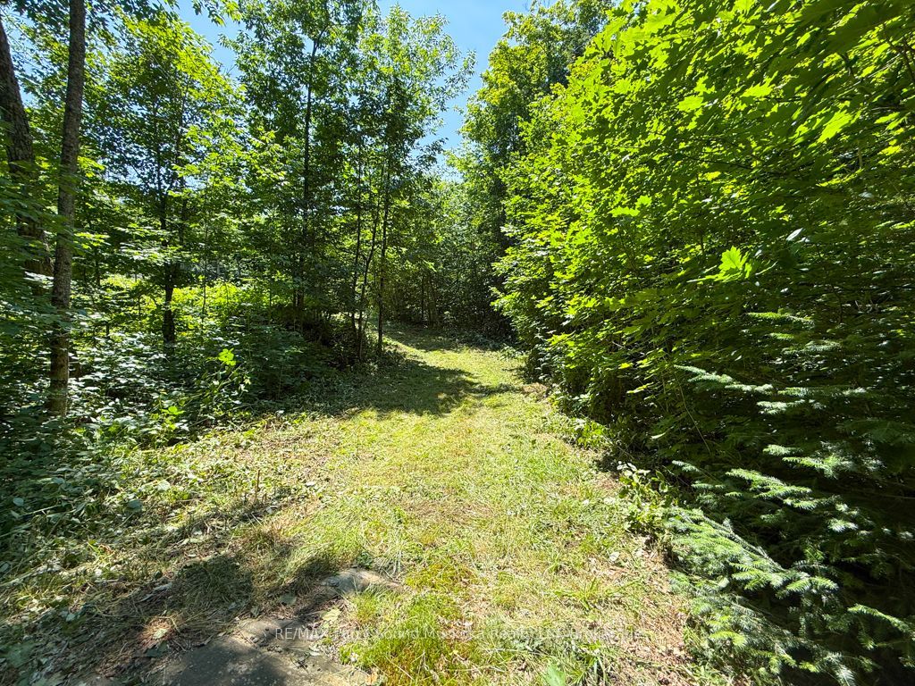 17 White Beaver Trail Property Photo 3