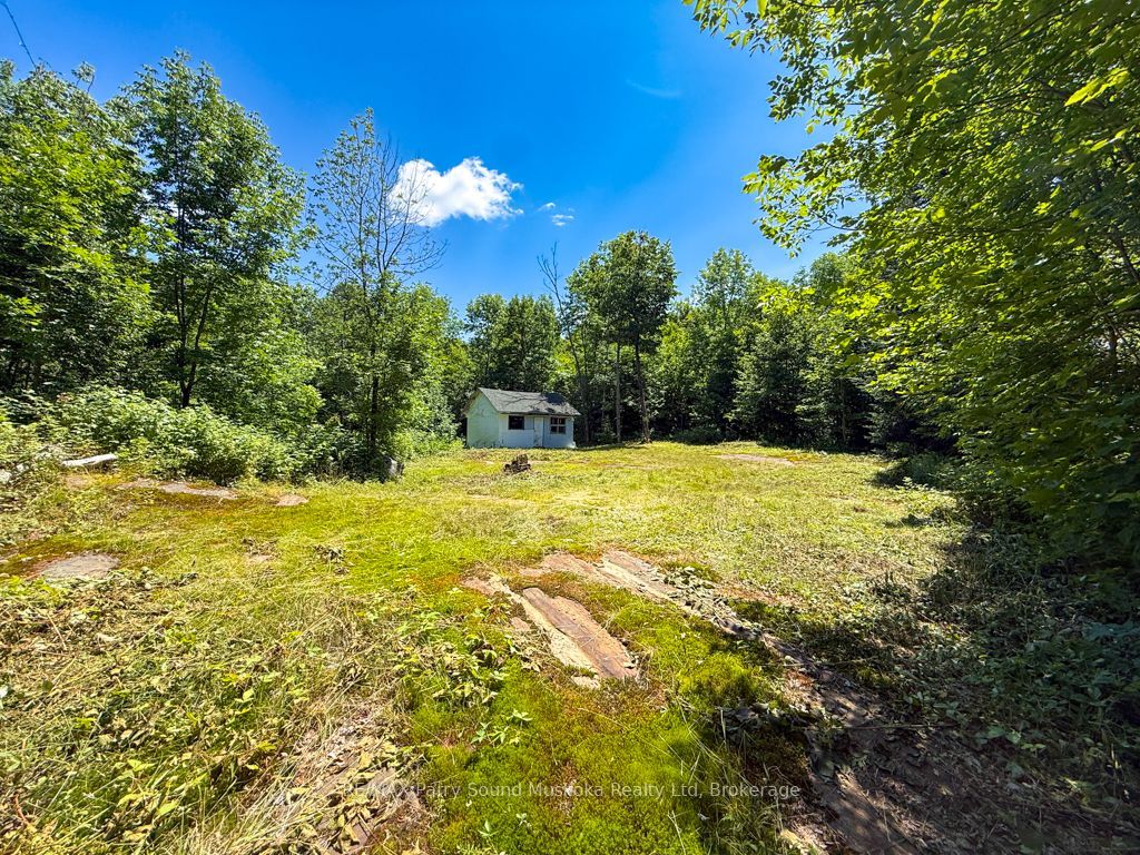 17 White Beaver Trail Property Photo 4