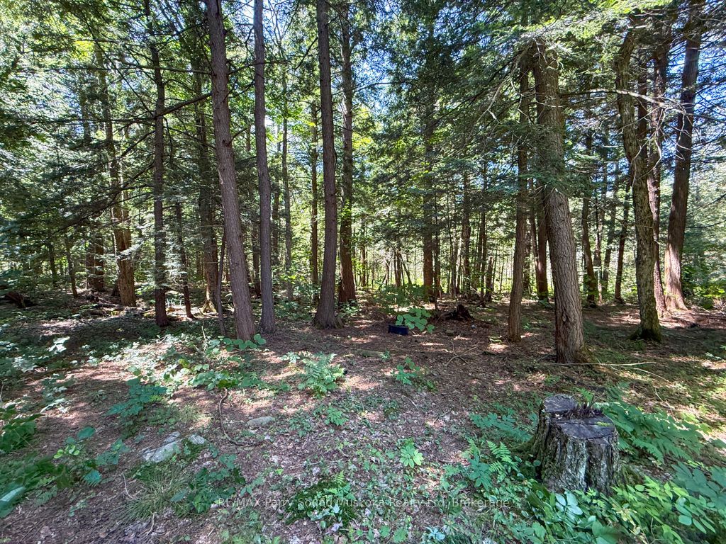 17 White Beaver Trail Property Photo 6