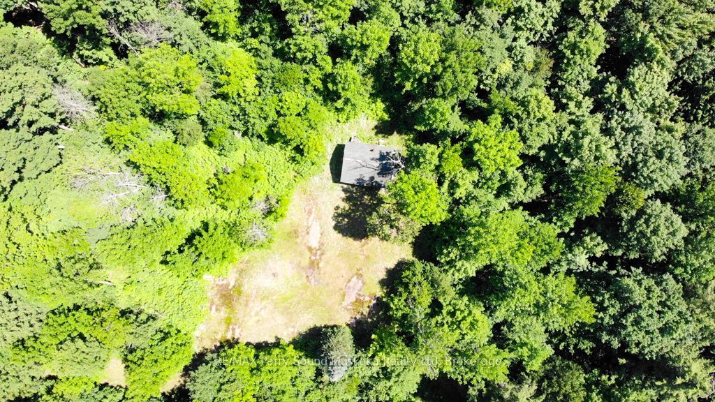 17 White Beaver Trail Property Photo 13