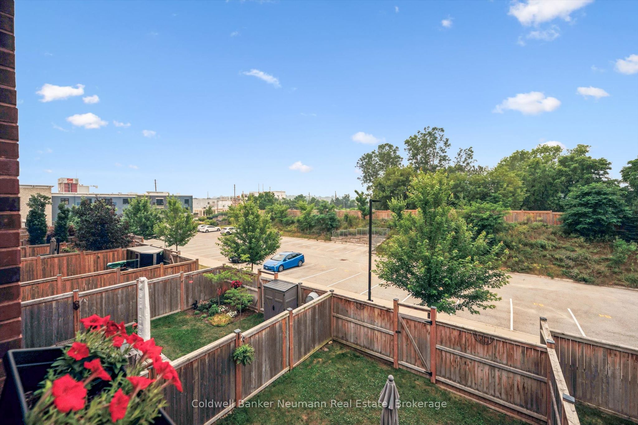 169 Morris Street Property Photo 46