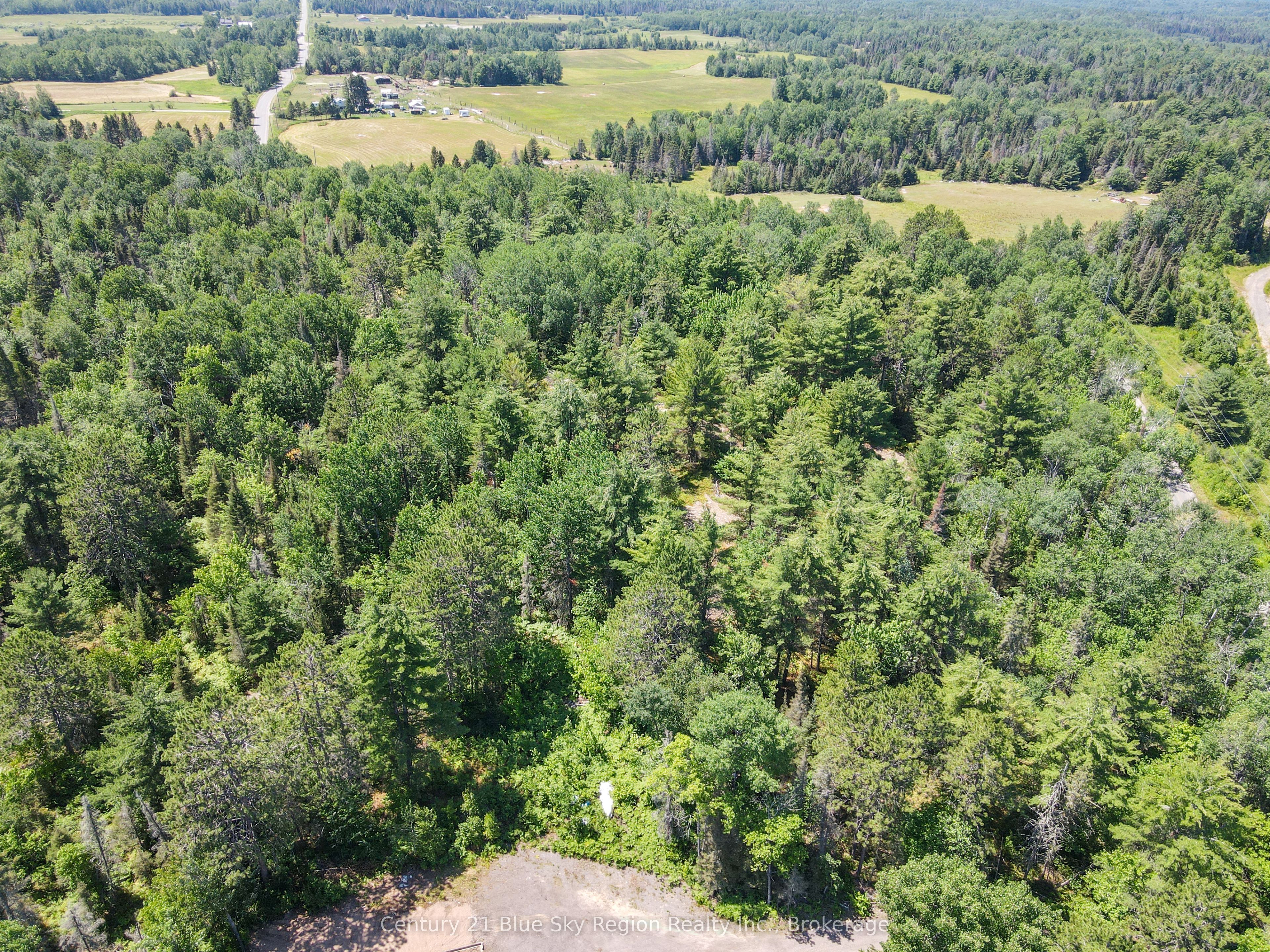 649 Hazel Glen Road Property Photo 40