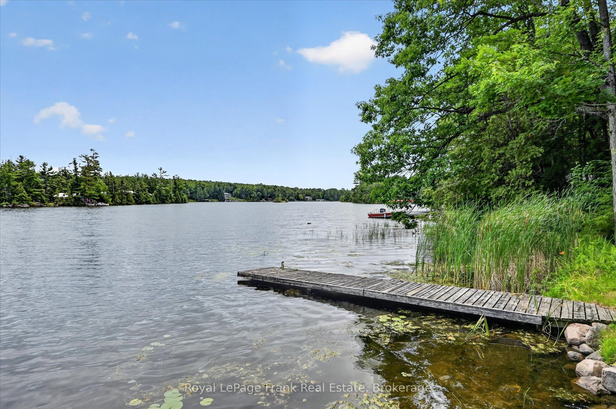 442 Island 7 Stoney Lake Property Photo 5
