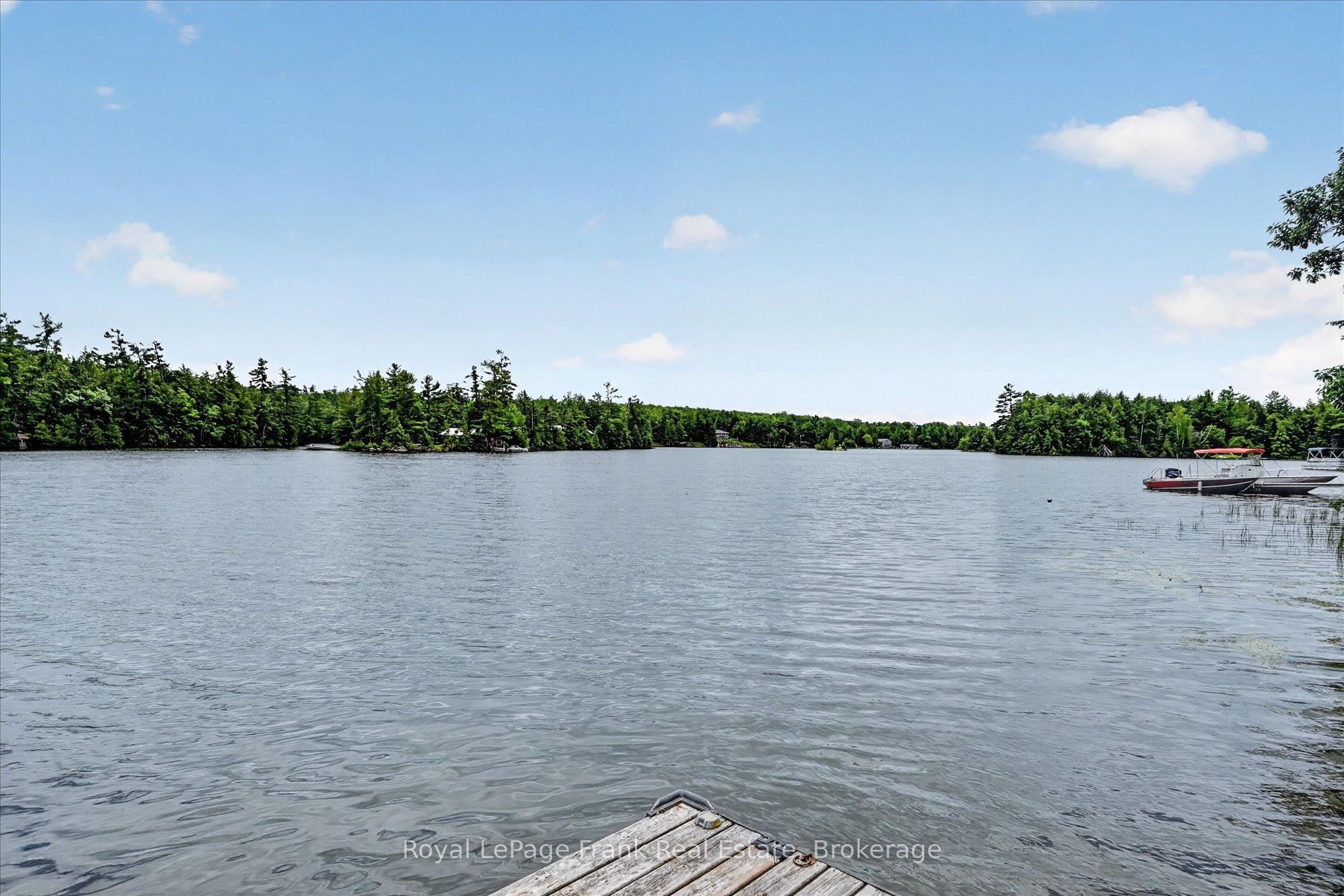 442 Island 7 Stoney Lake Property Photo 6