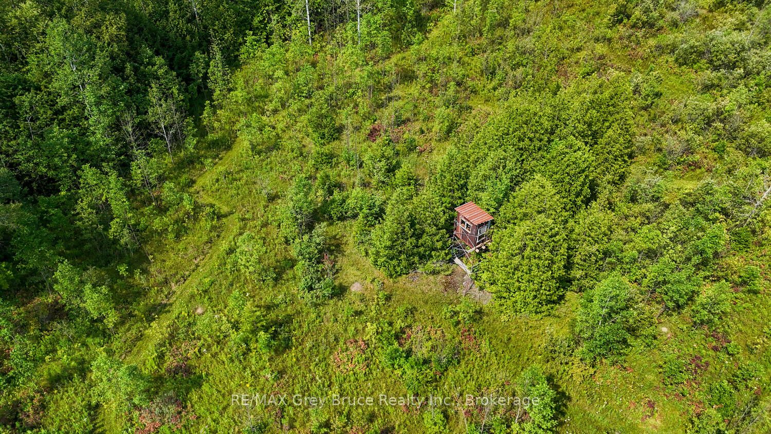 65 Lawrence Road Property Photo 41