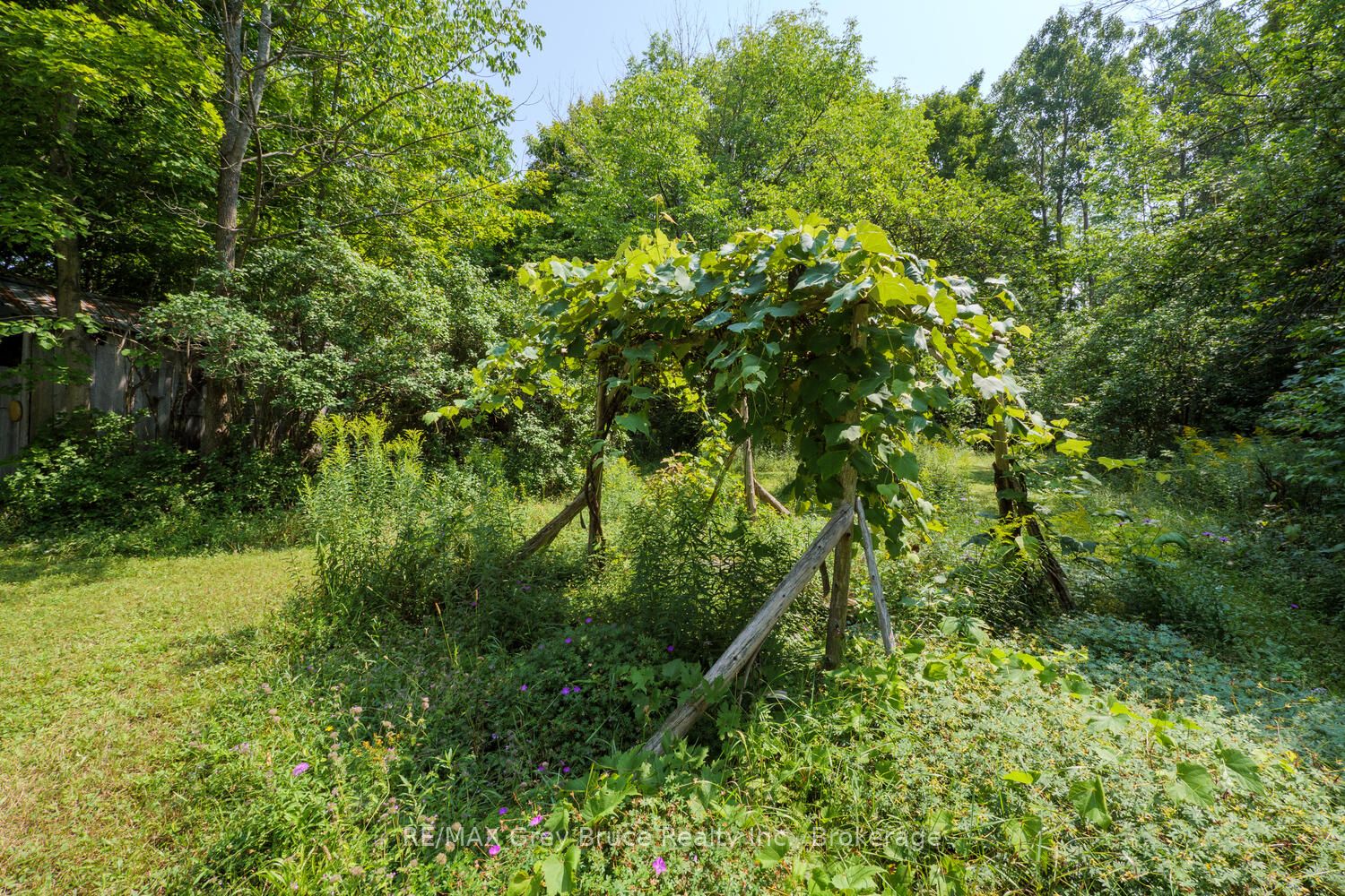 65 Lawrence Road Property Photo 49