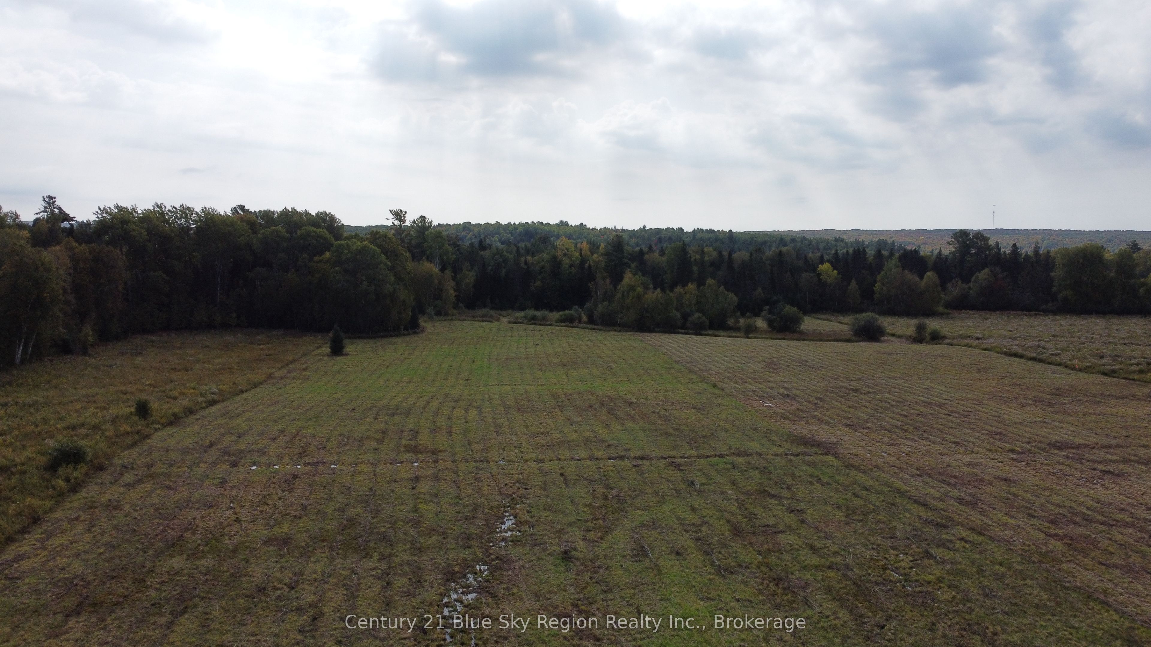 4197 Highway 654 Property Photo 6