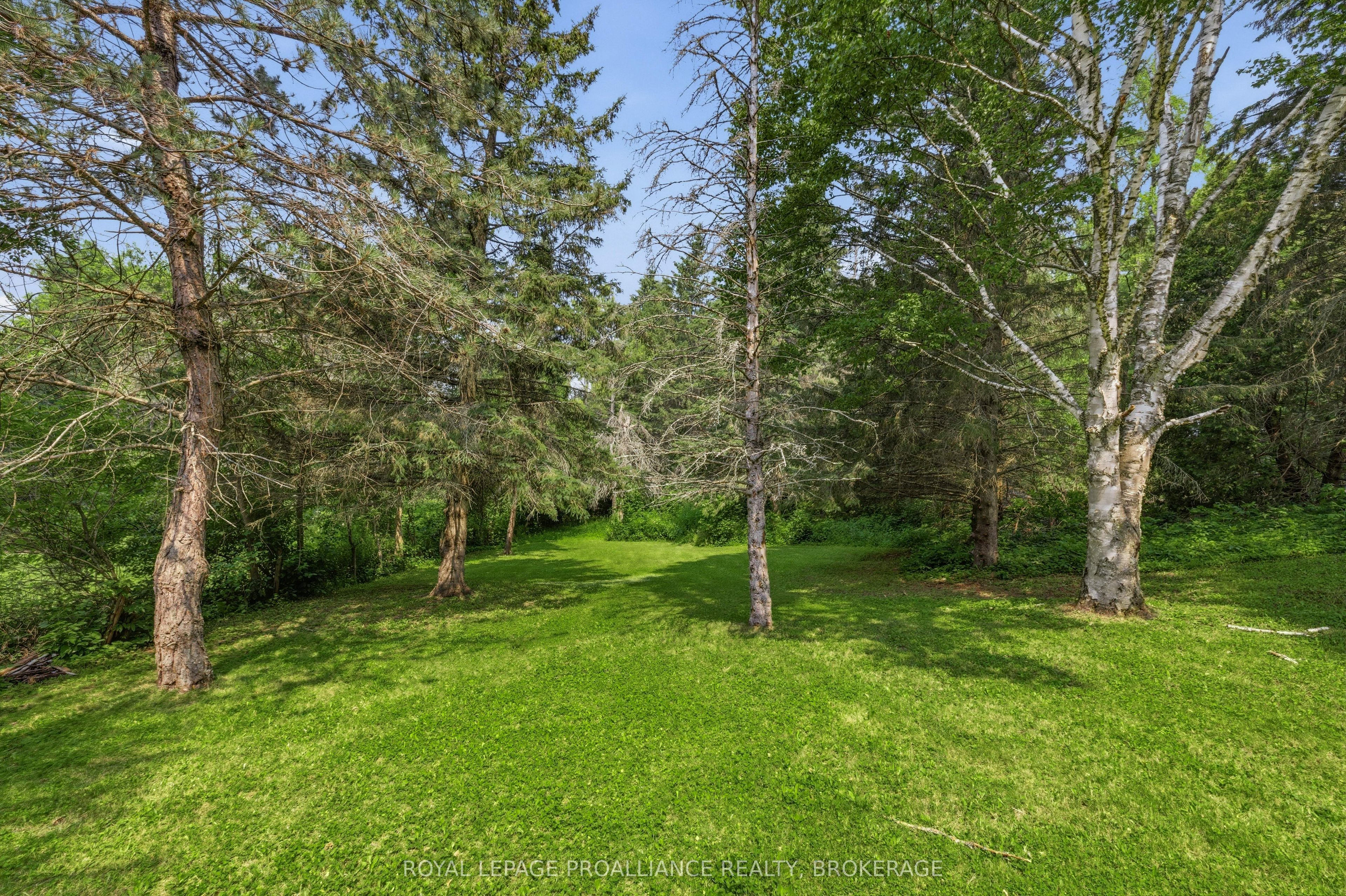 3403 Highway 38 Property Photo 43