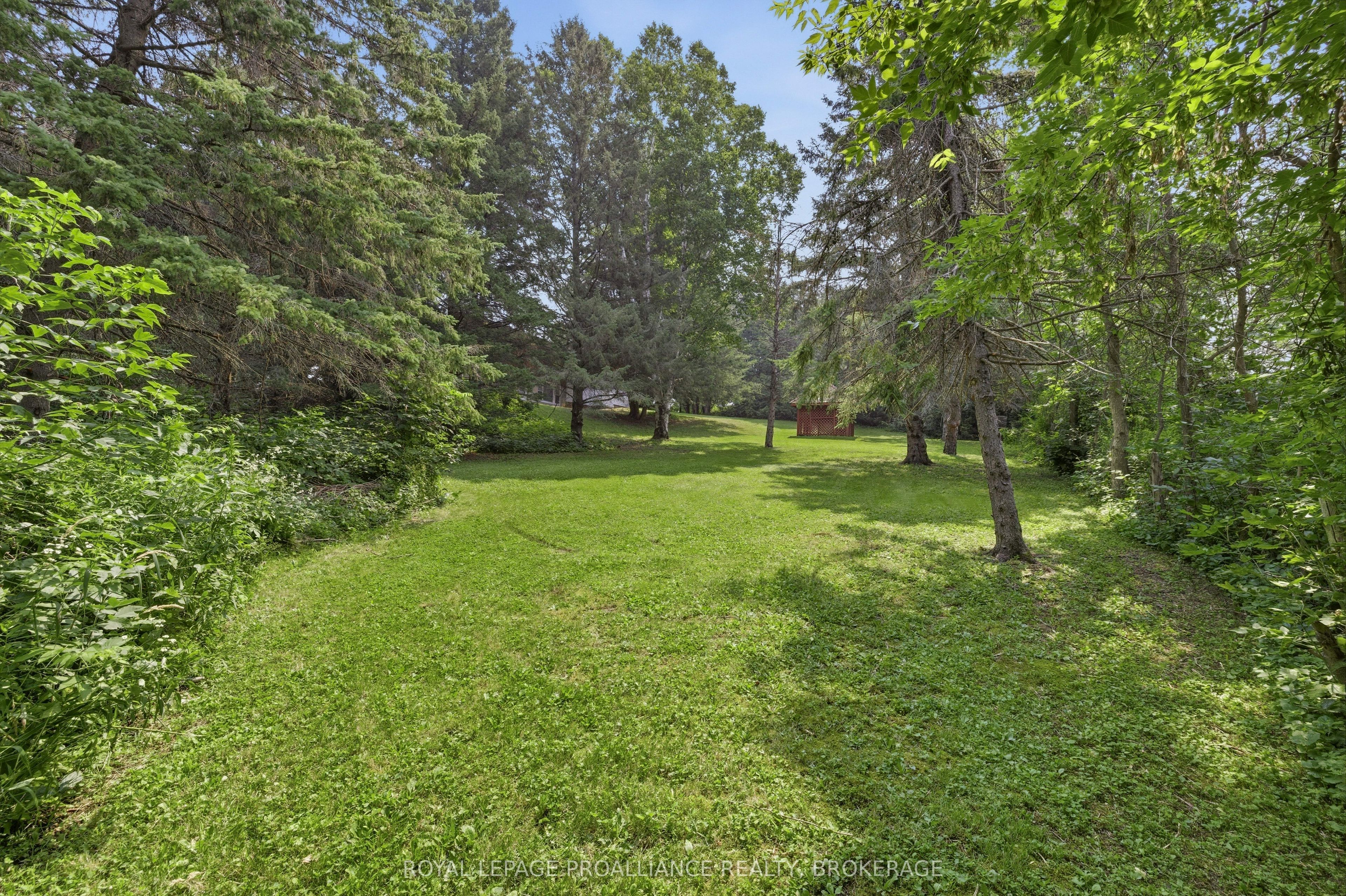 3403 Highway 38 Property Photo 44