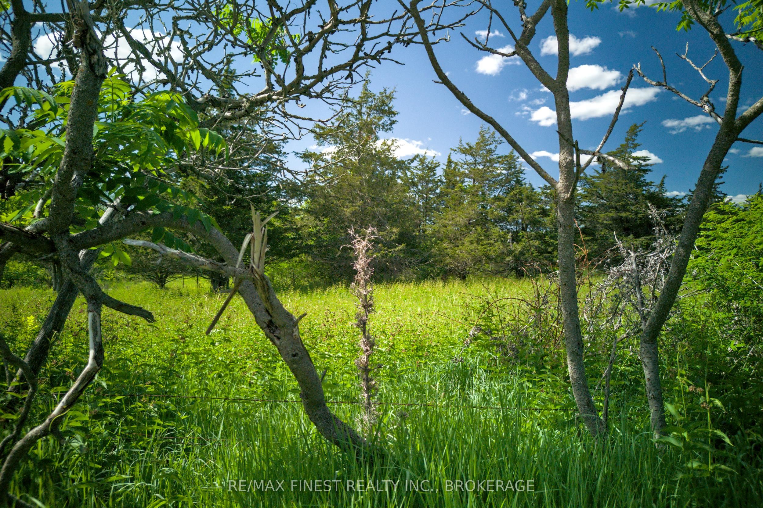 Lot 13 Front Road Property Photo 12