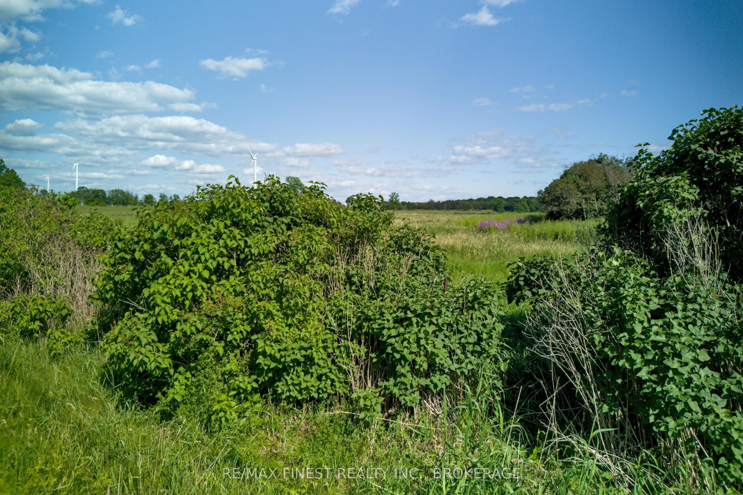 Lot 13 Front Road Property Photo 31