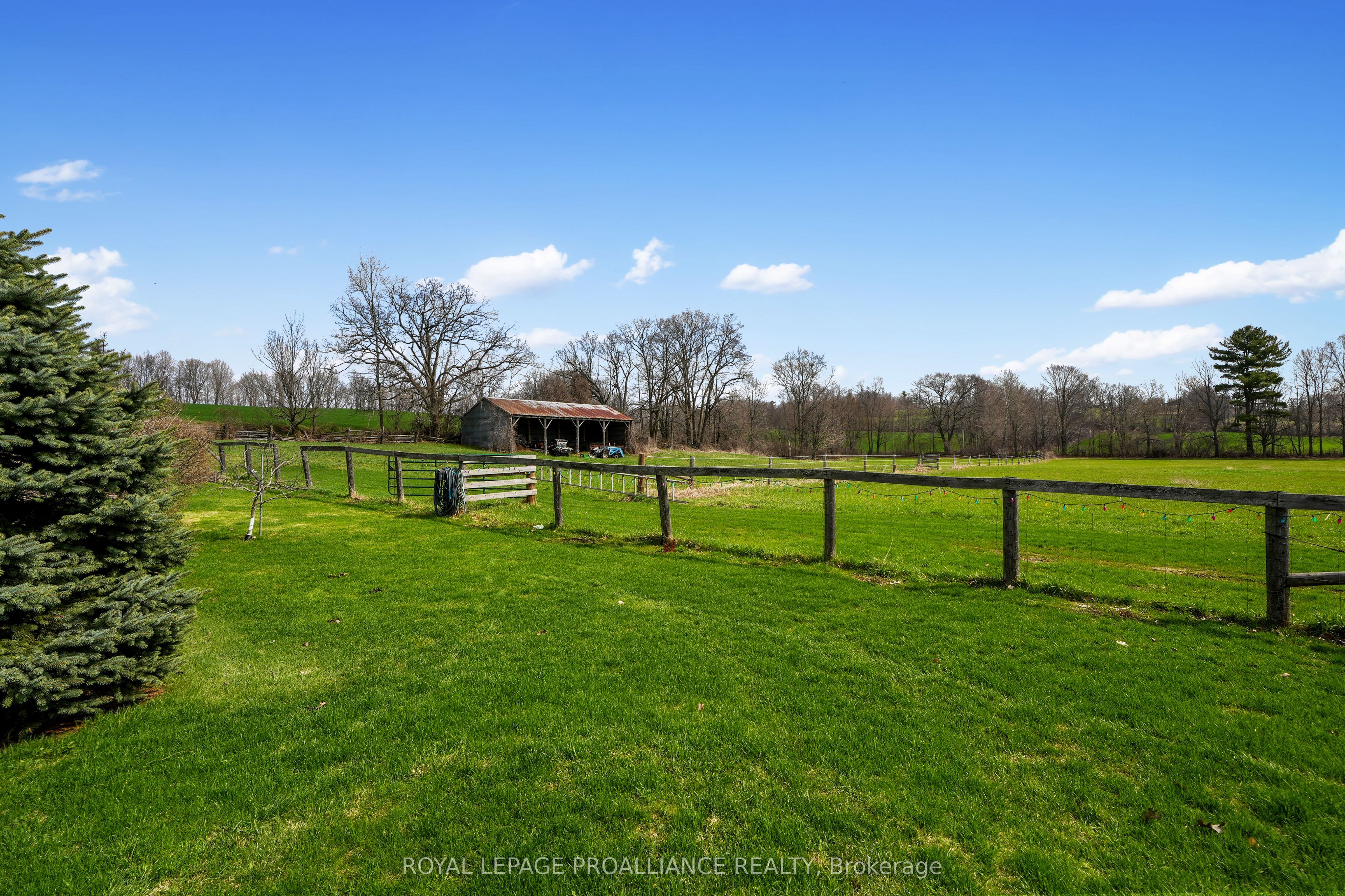 249 Bright Road Property Photo 35