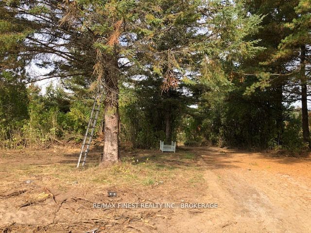 1380 Westport Road Property Photo 7