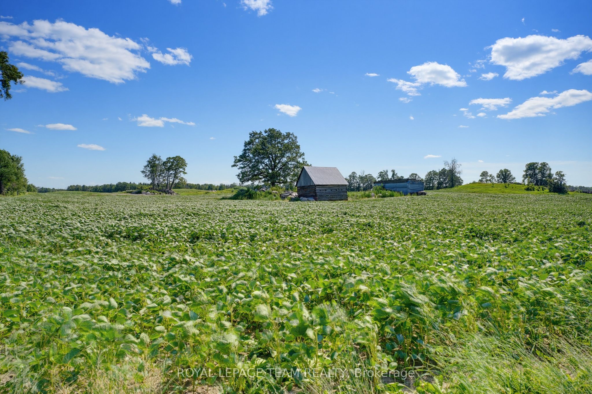547 Malloy Road Property Photo 37