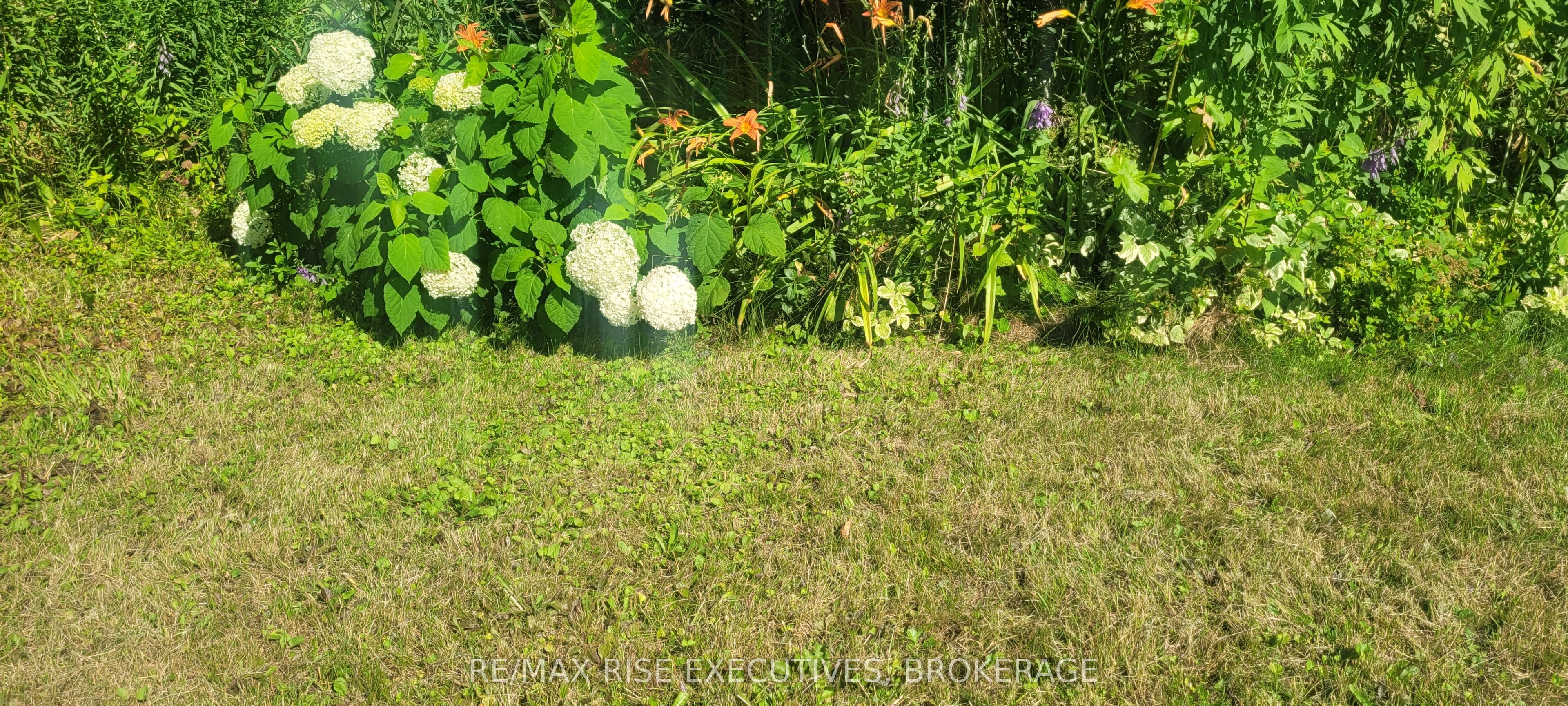 72 Eric Hutcheson Road Property Photo 31