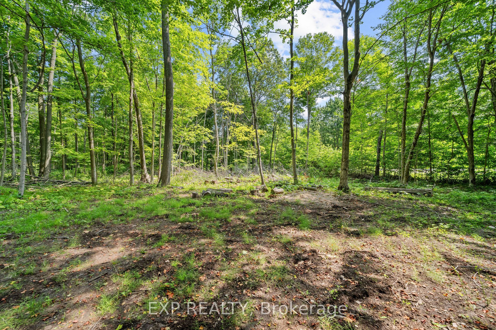 4465 Imperial Road Property Photo 35