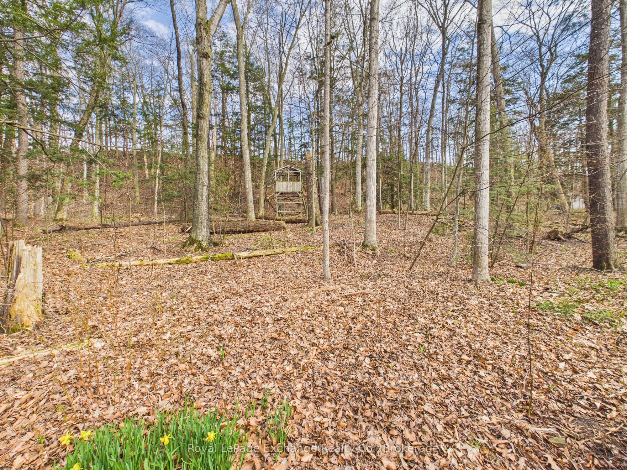32 Blairs Trail Property Photo 21