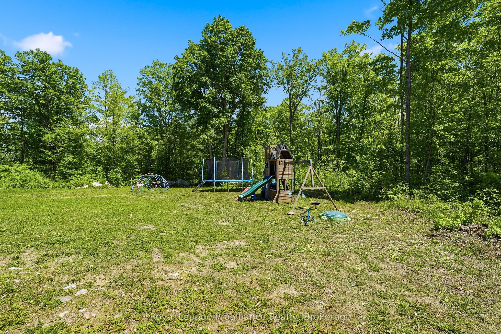 293 Douglas Road Property Photo 41