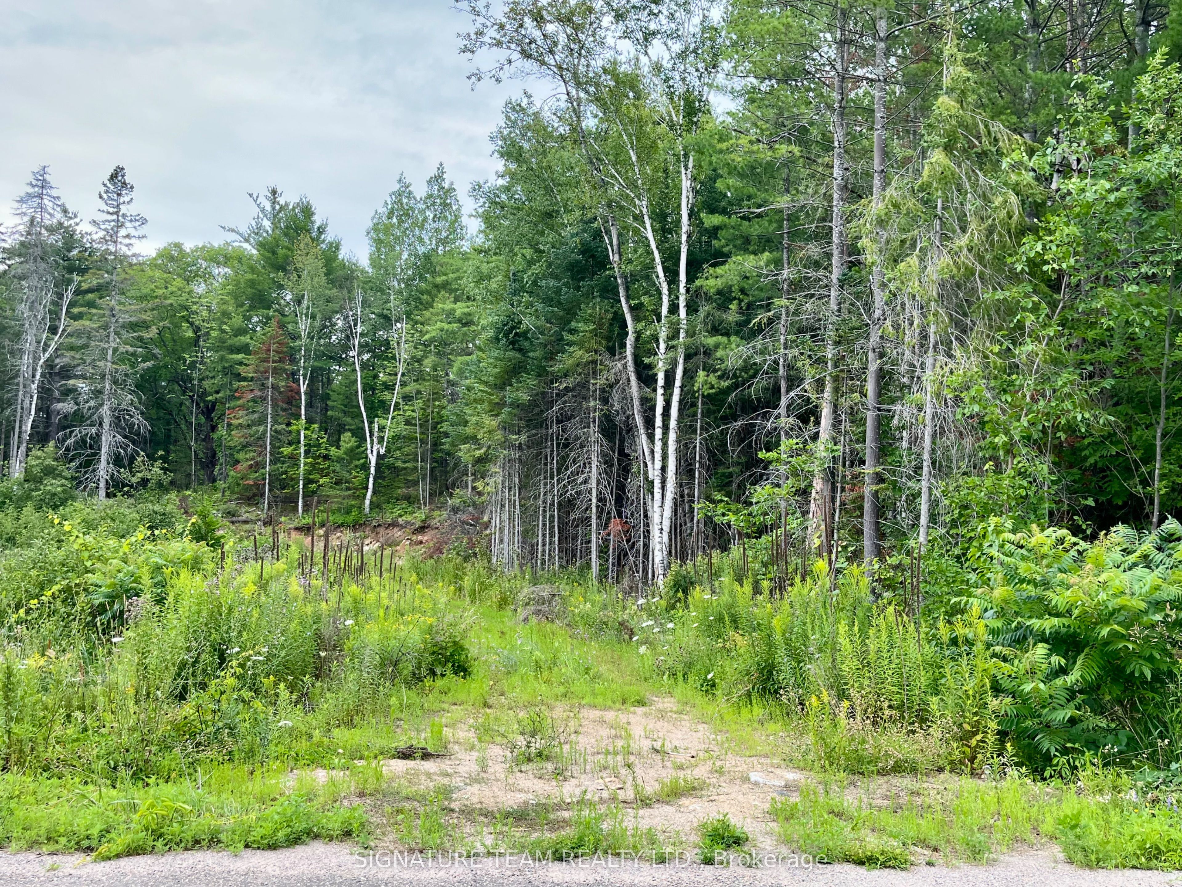 1011 Mcgrath Road Property Photo 4