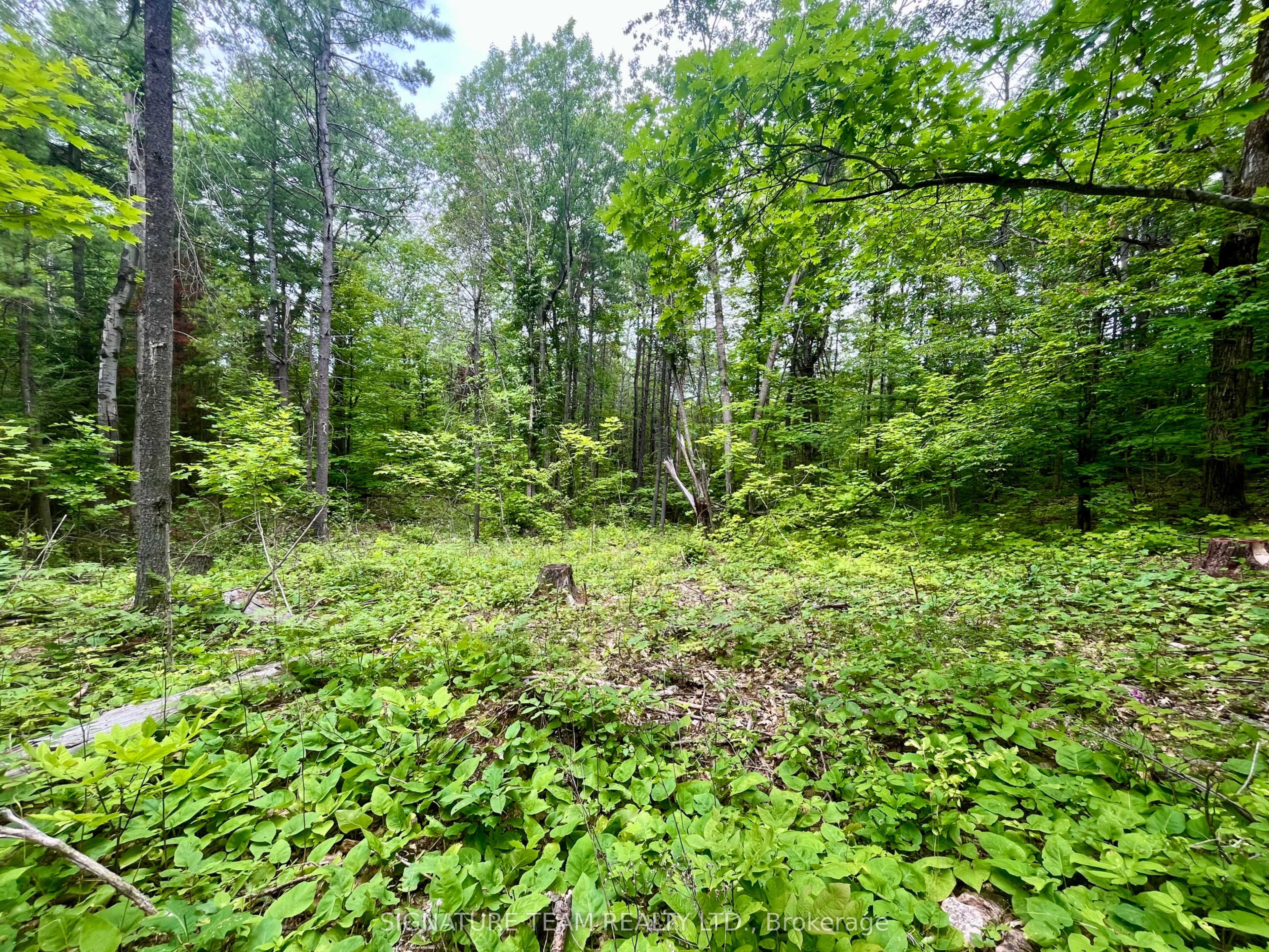 1011 Mcgrath Road Property Photo 11