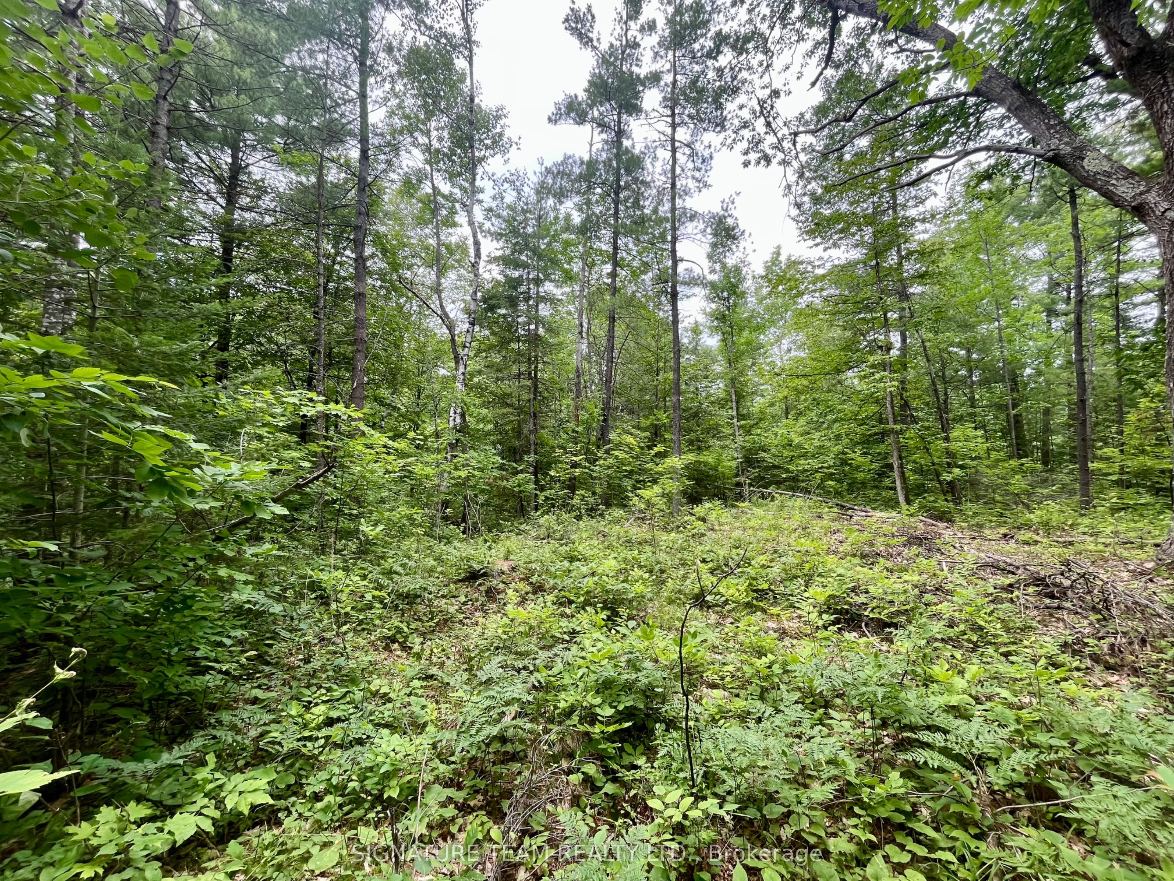 1011 Mcgrath Road Property Photo 12