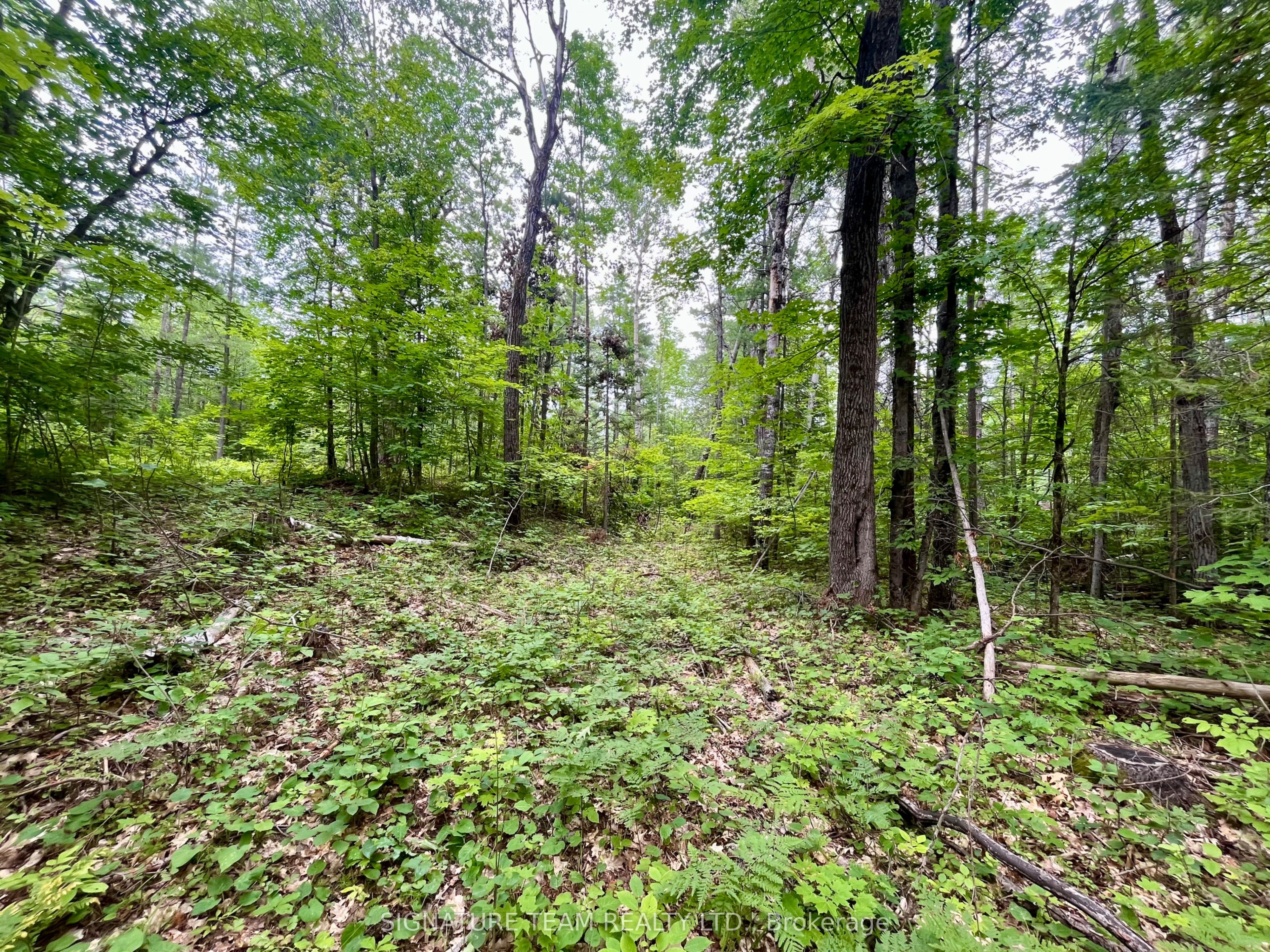 1011 Mcgrath Road Property Photo 13