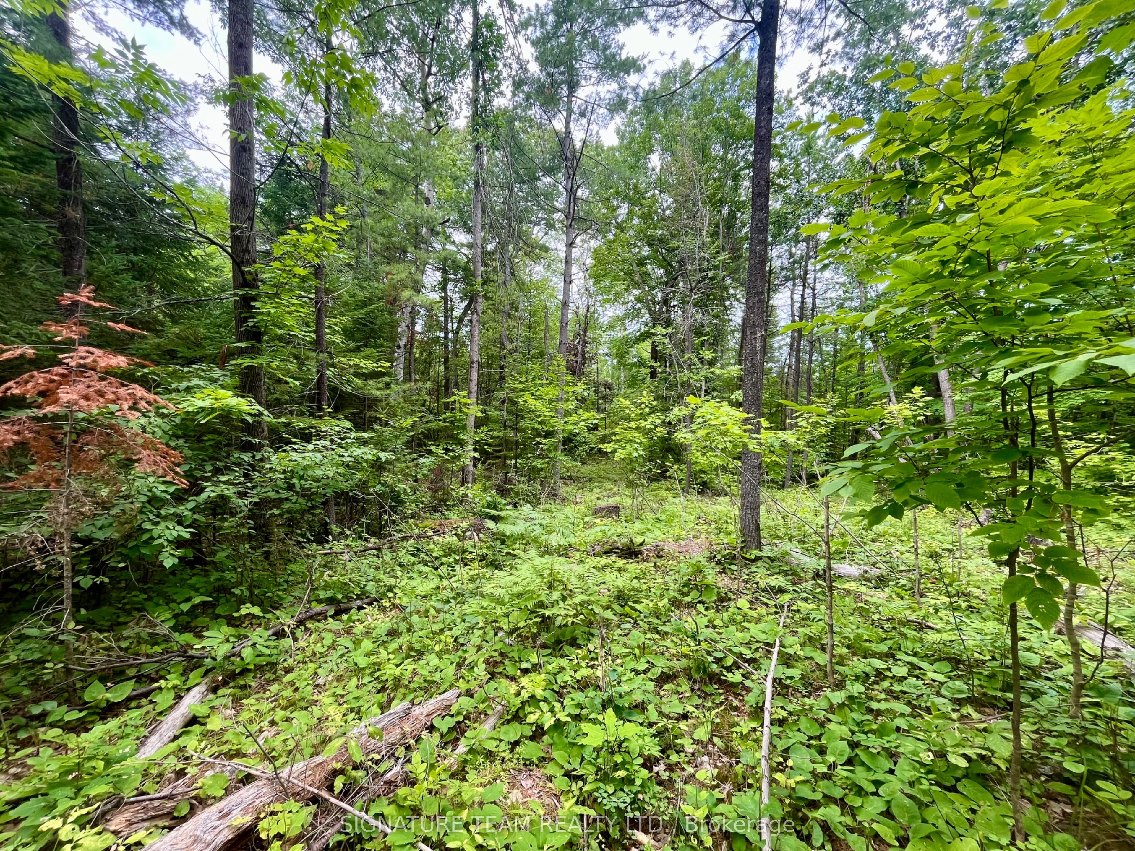 1011 Mcgrath Road Property Photo 14