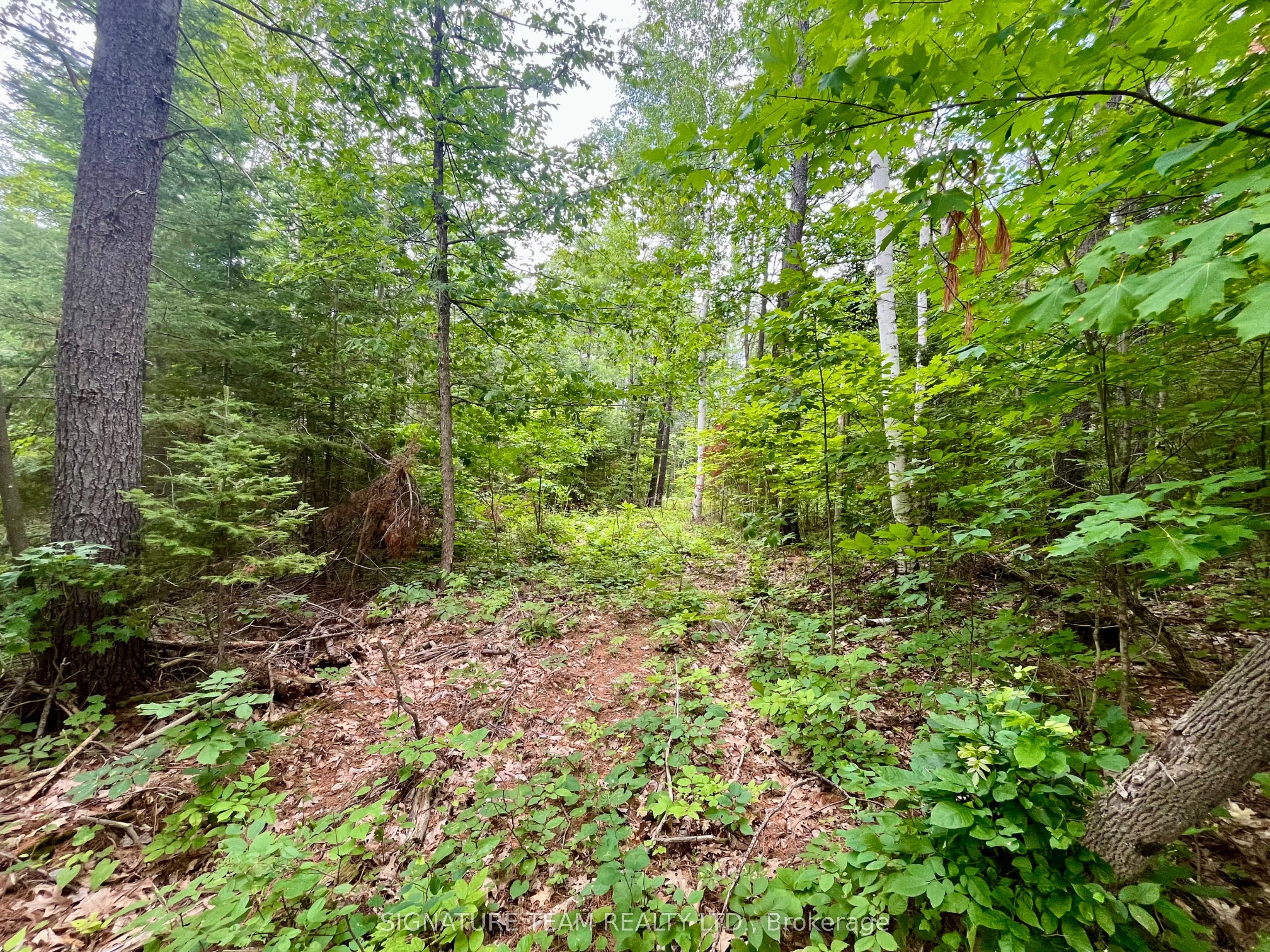 1011 Mcgrath Road Property Photo 15