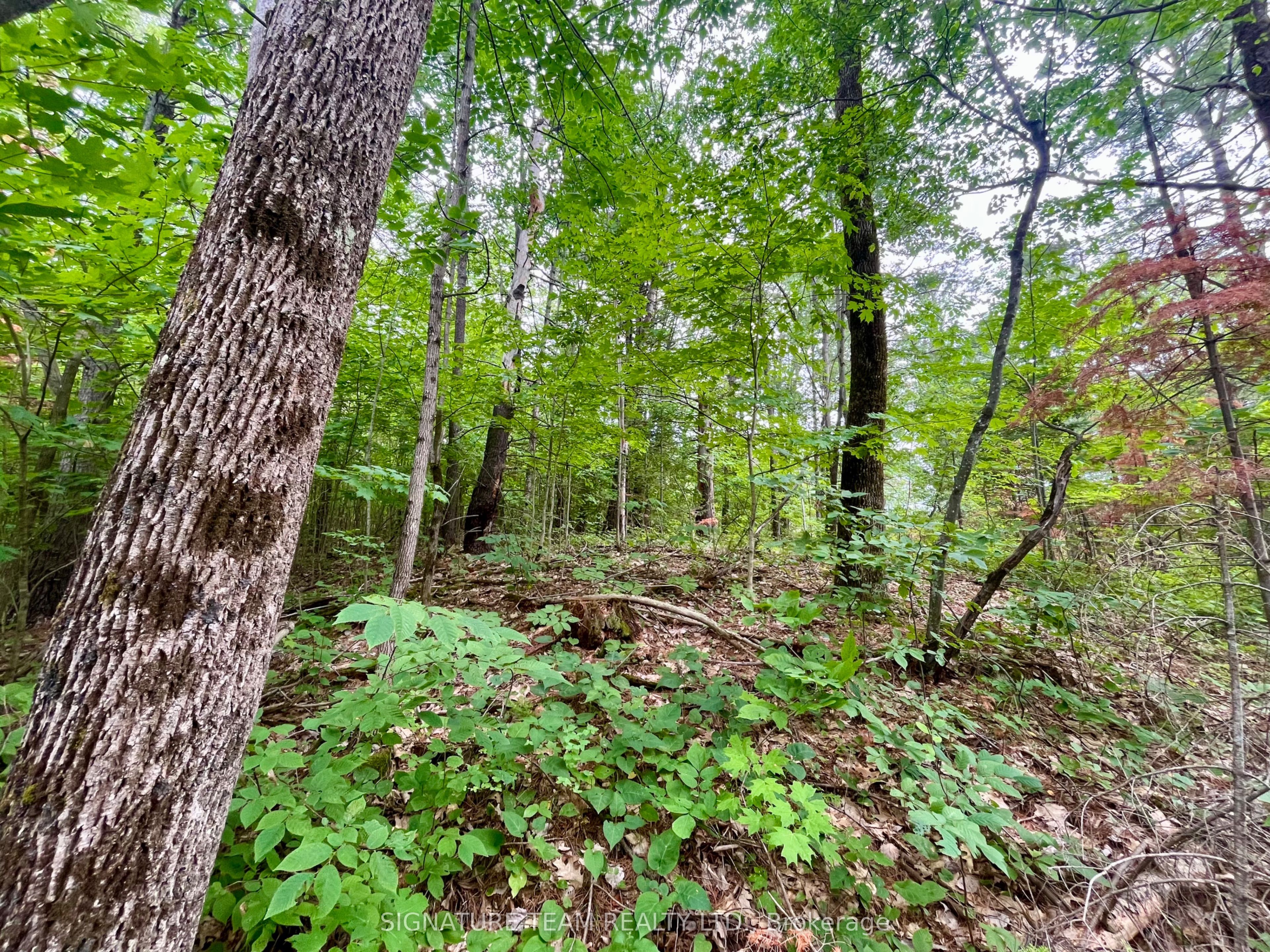 1011 Mcgrath Road Property Photo 16