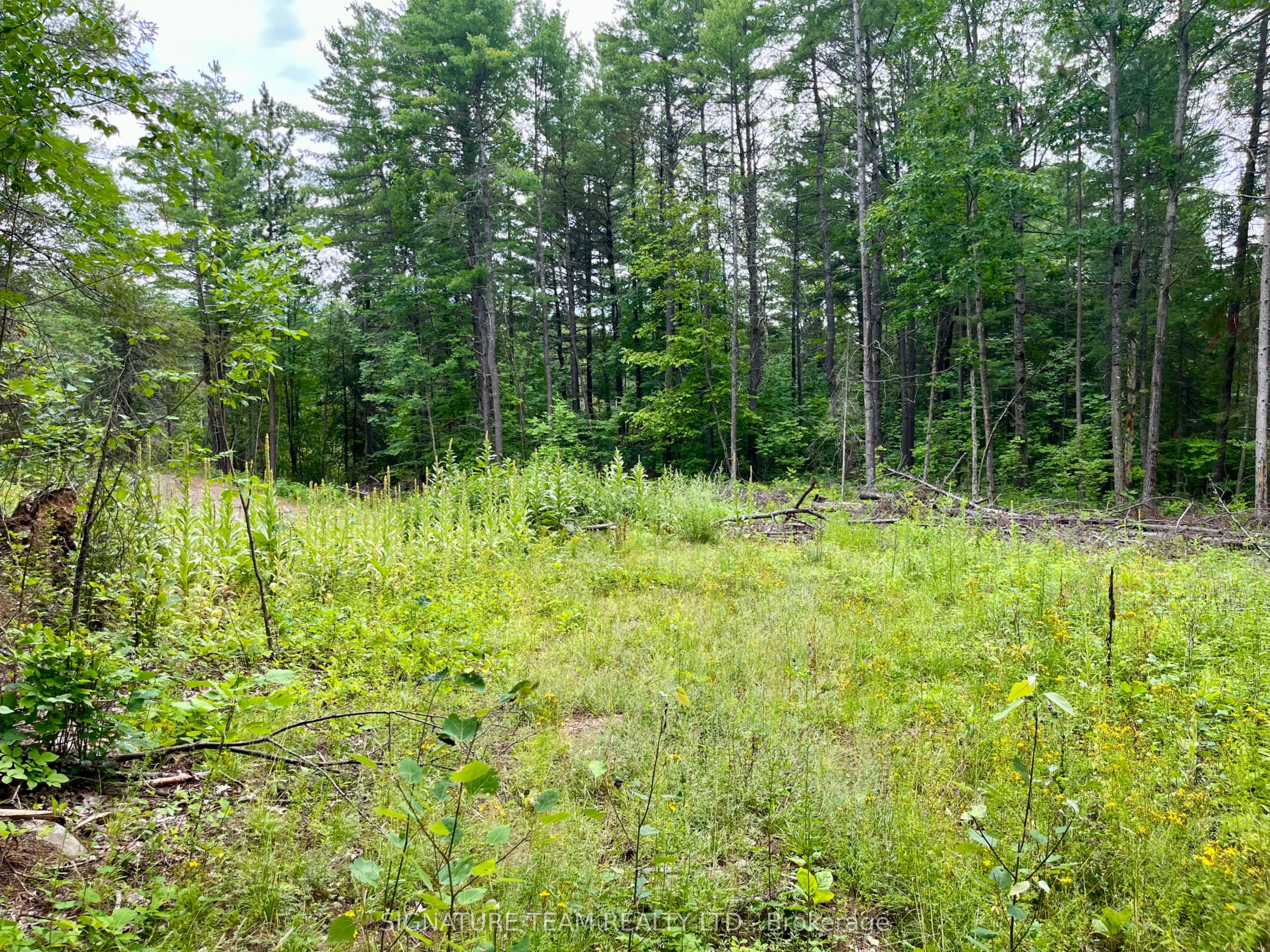 1011 Mcgrath Road Property Photo 17