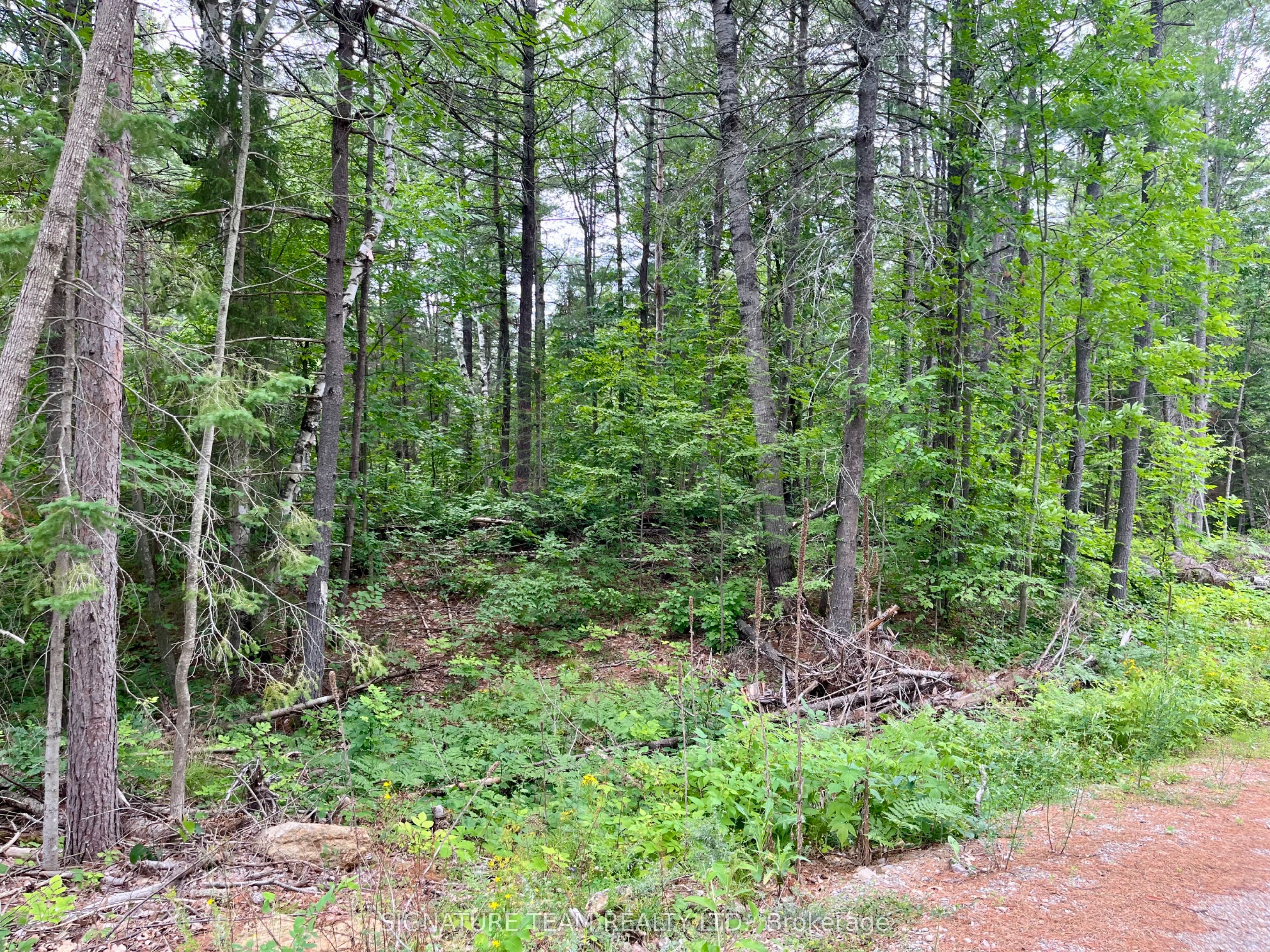 1011 Mcgrath Road Property Photo 19