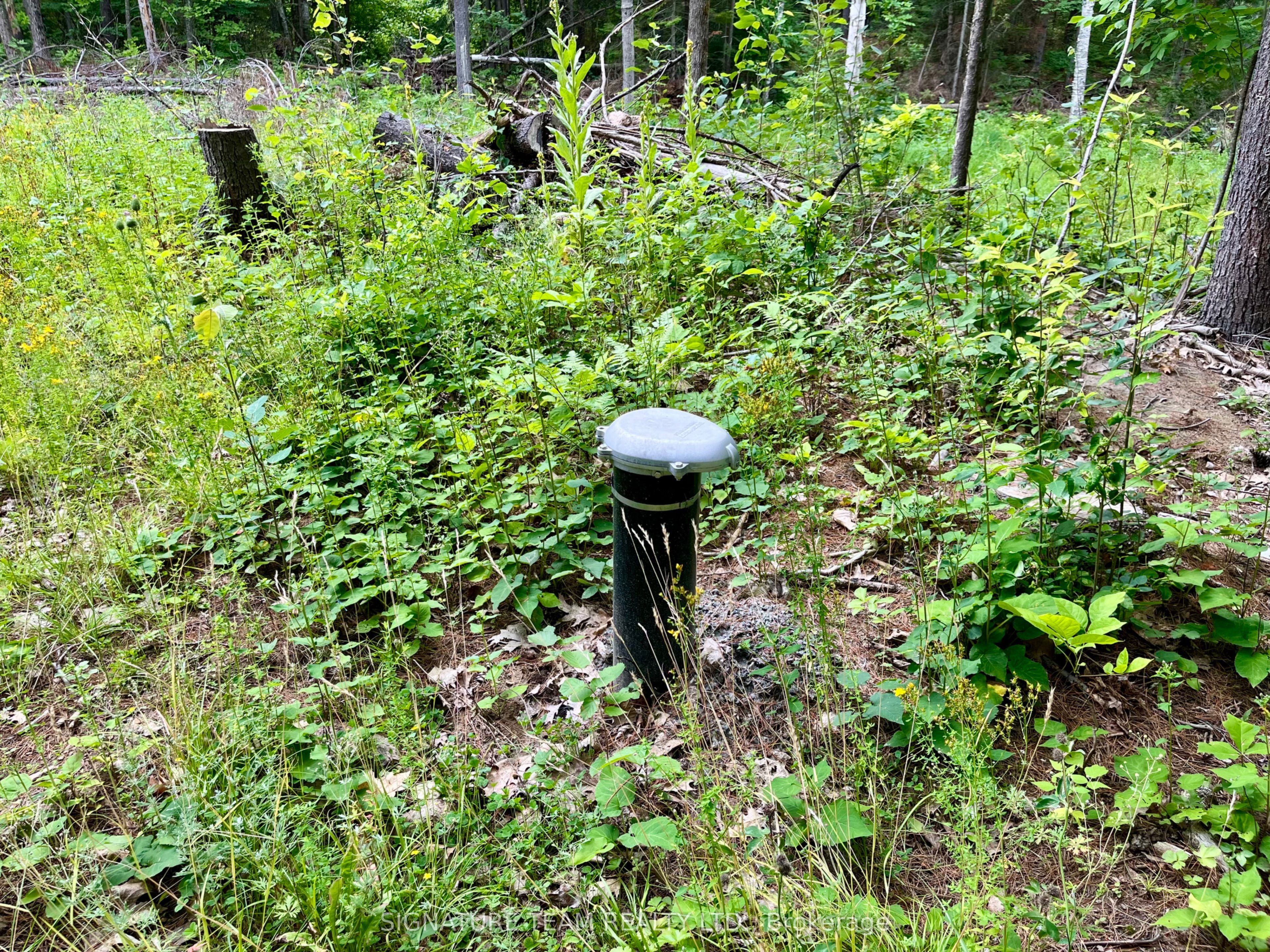 1011 Mcgrath Road Property Photo 21