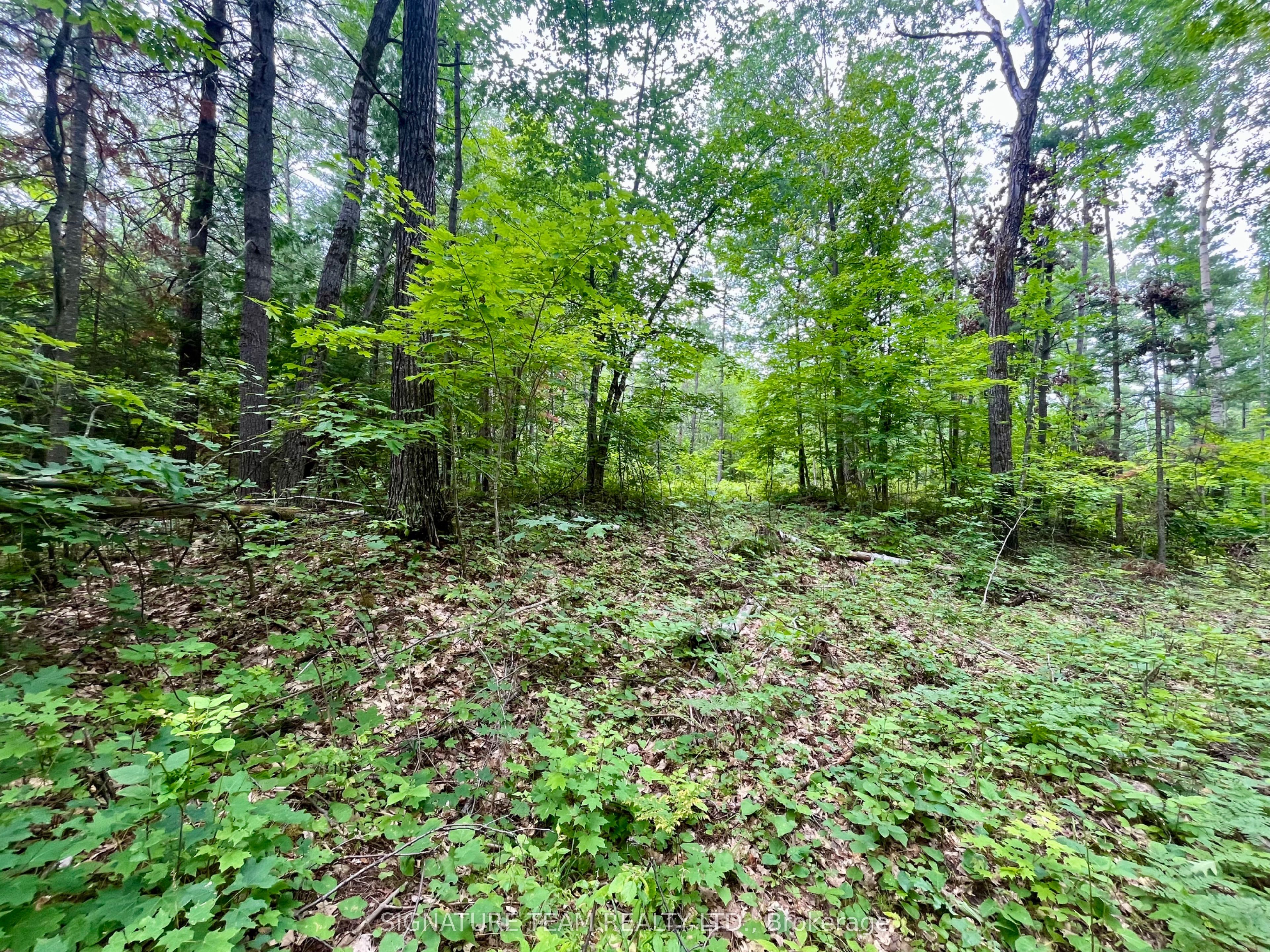 1011 Mcgrath Road Property Photo 25