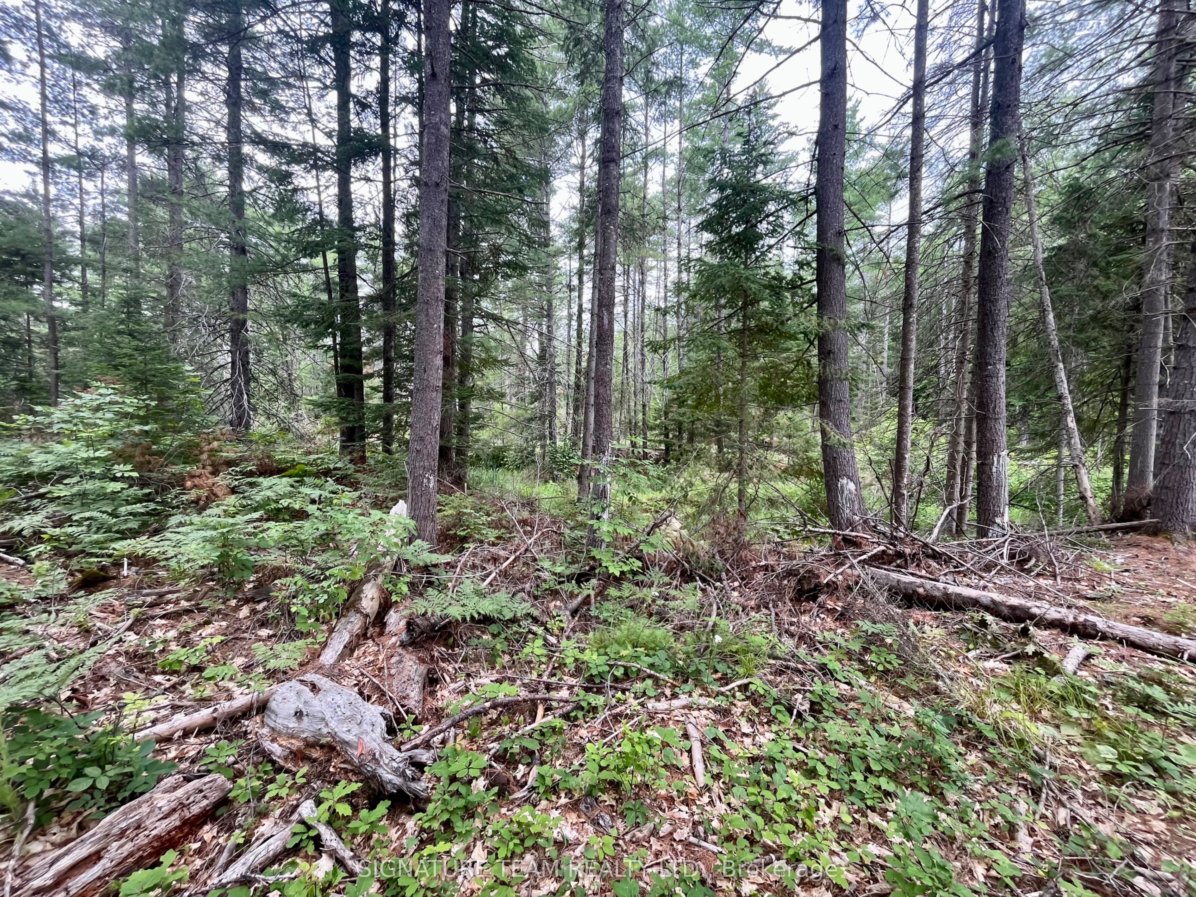 1011 Mcgrath Road Property Photo 26