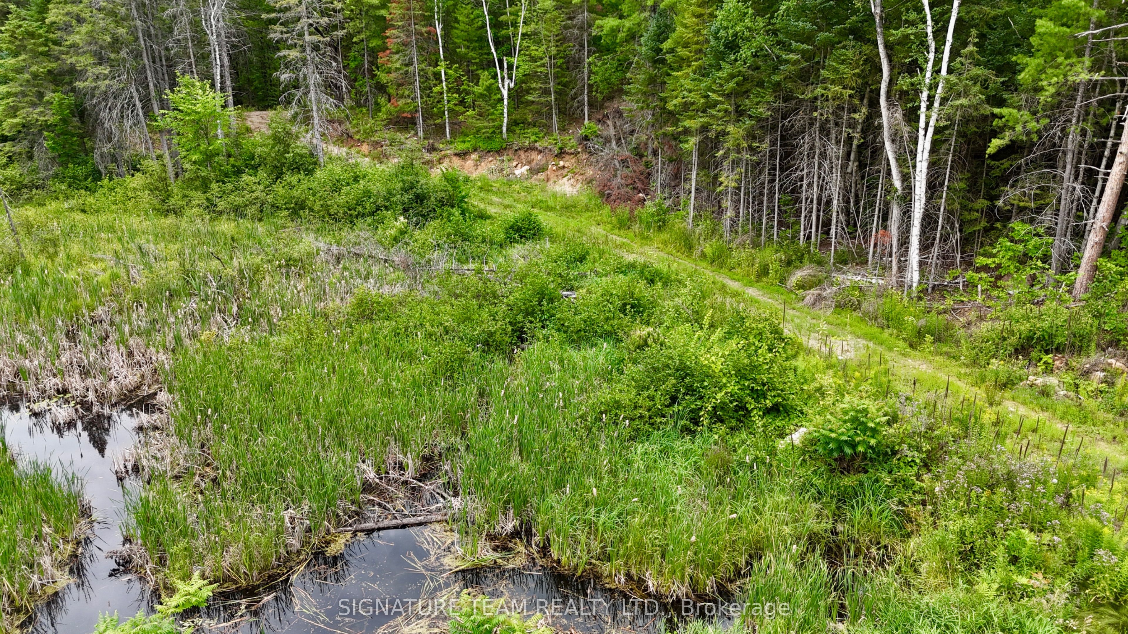1011 Mcgrath Road Property Photo 31