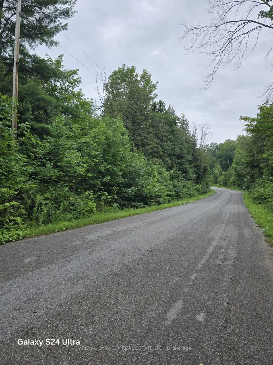 509 Sawmill Road Property Photo 7