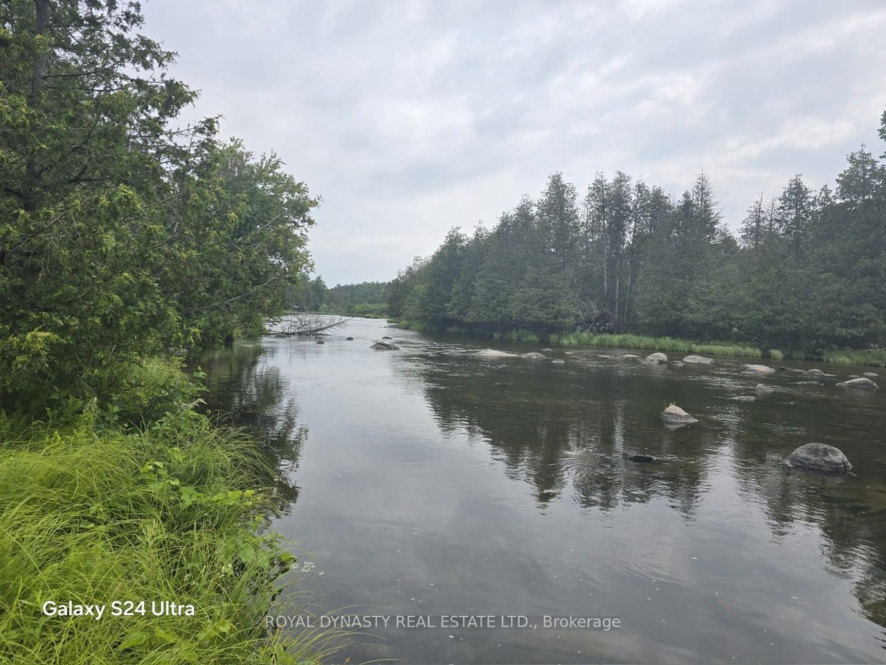 509 Sawmill Road Property Photo 11