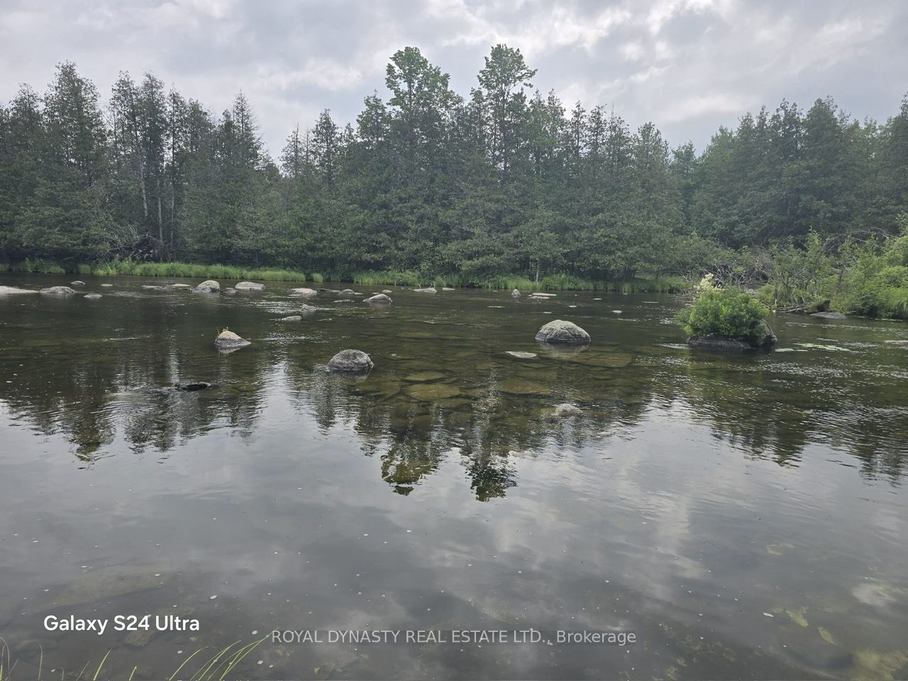 509 Sawmill Road Property Photo 12