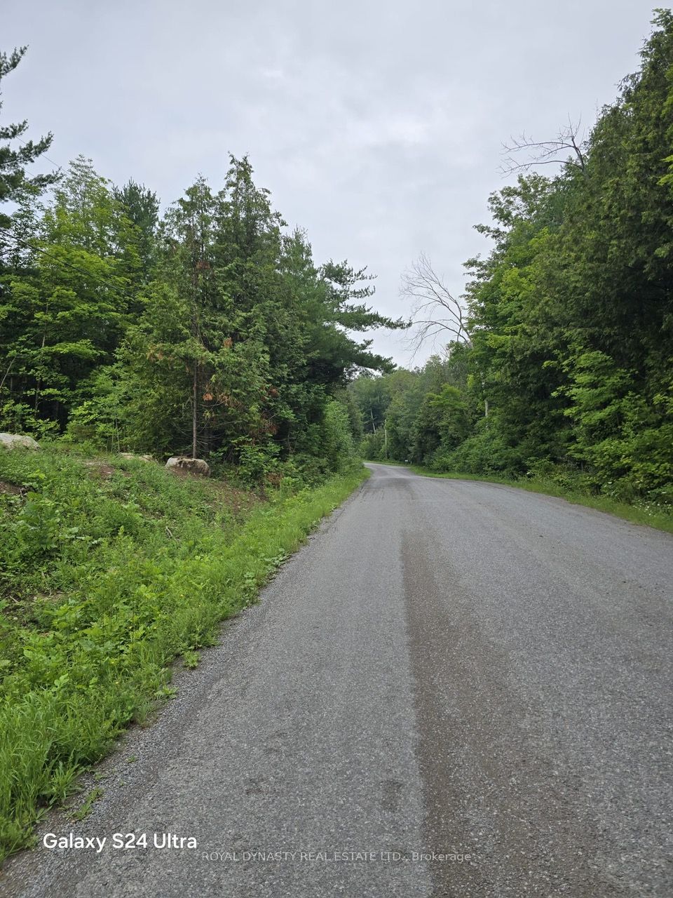 509 Sawmill Road Property Photo 17