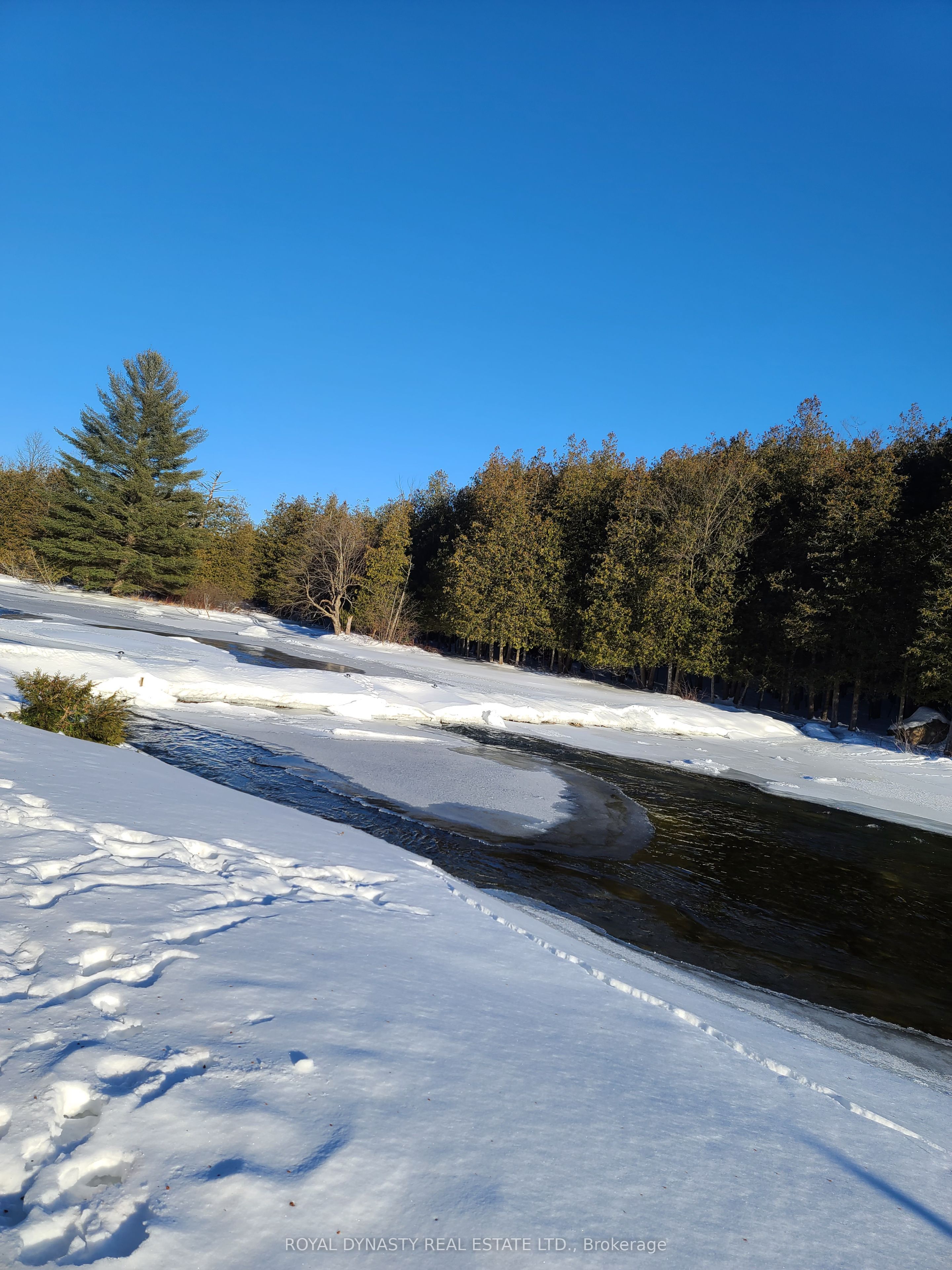 509 Sawmill Road Property Photo 20