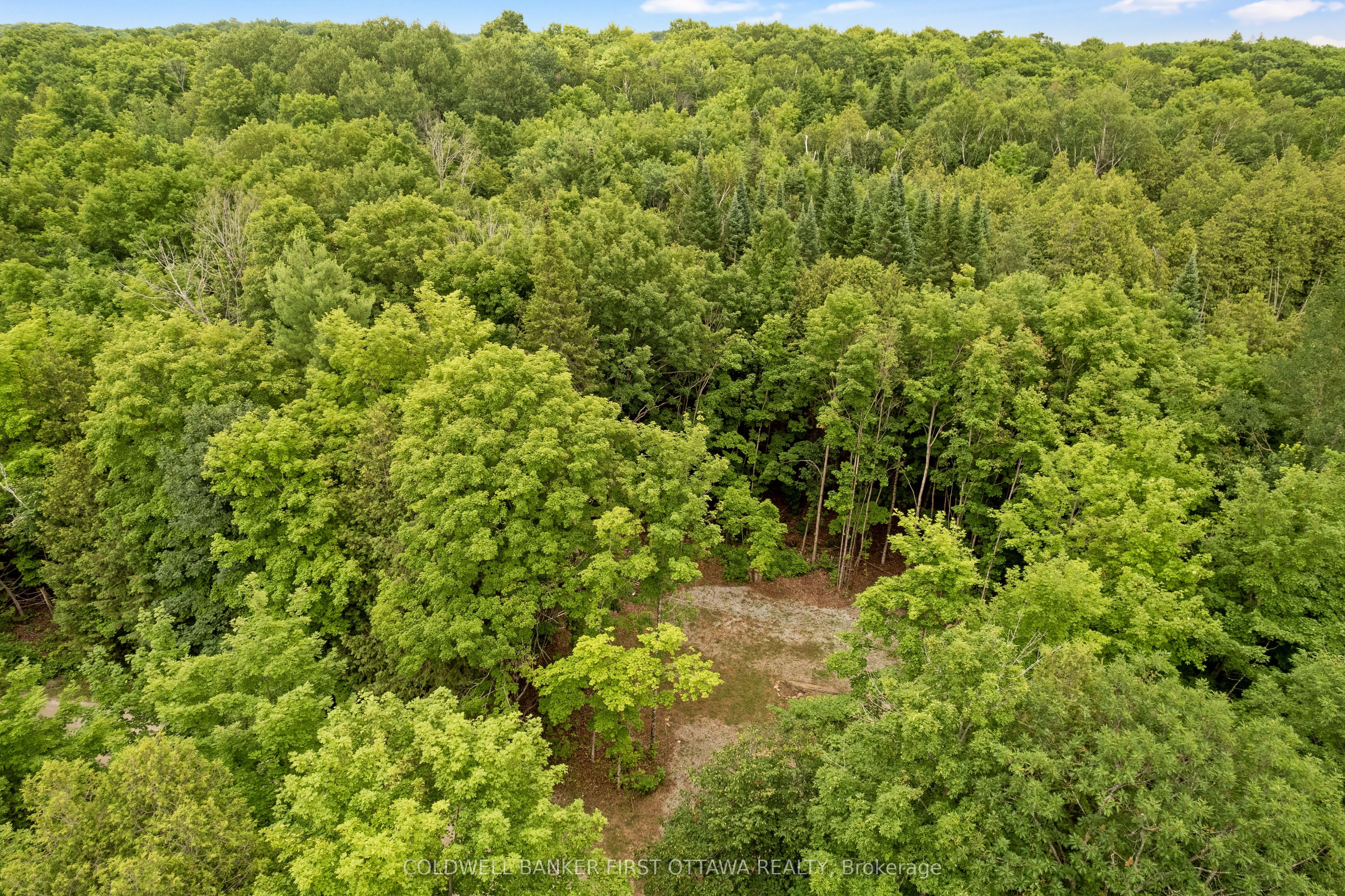 1039 Sunset Strip Lane Property Photo 12