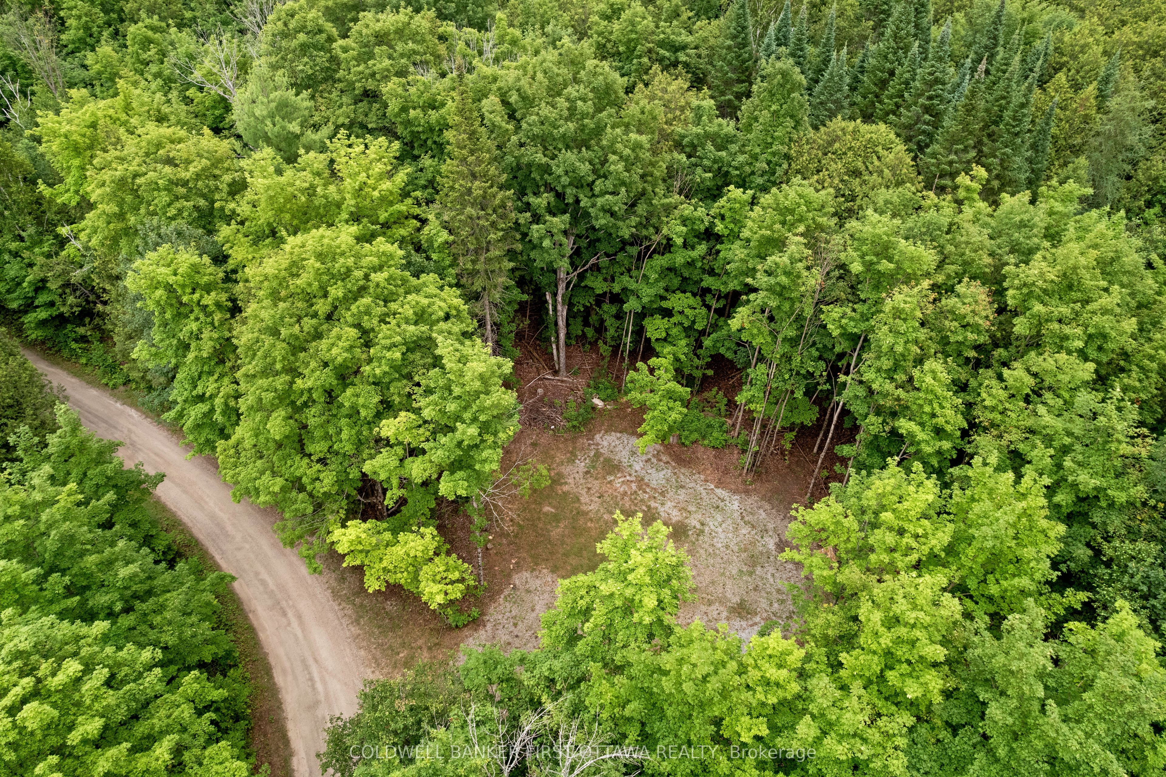 1039 Sunset Strip Lane Property Photo 13