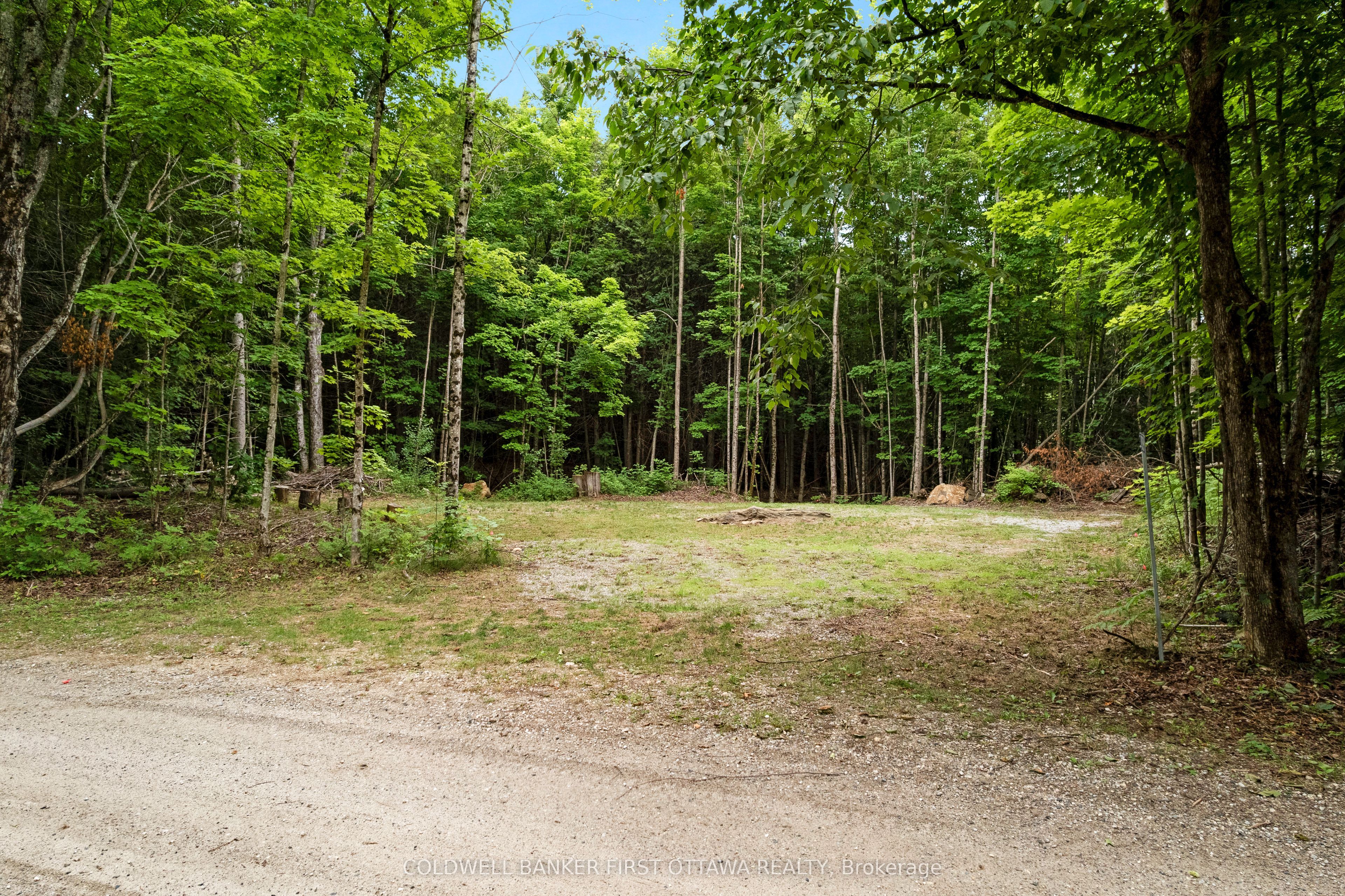 1039 Sunset Strip Lane Property Photo 16