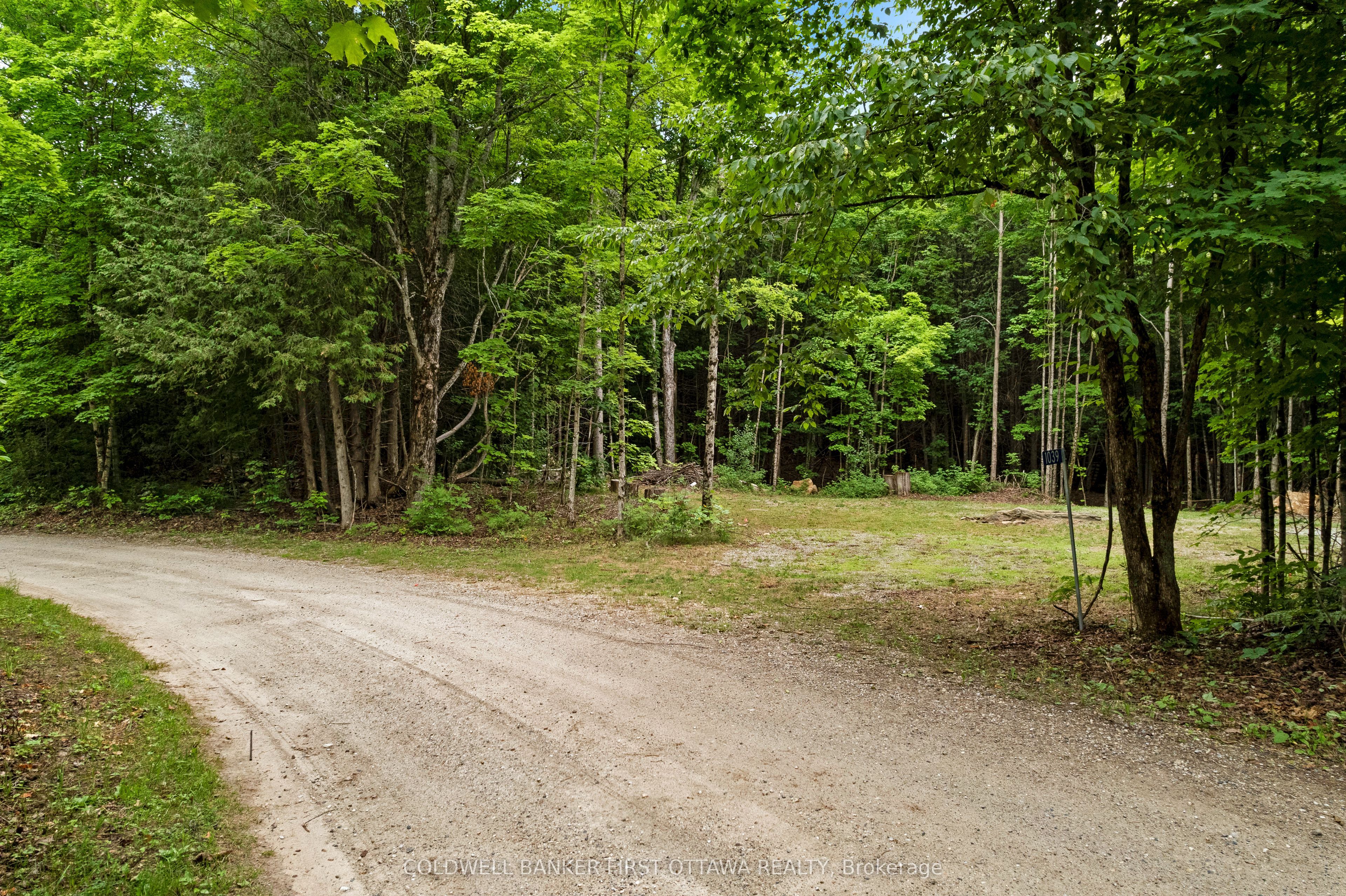 1039 Sunset Strip Lane Property Photo 17