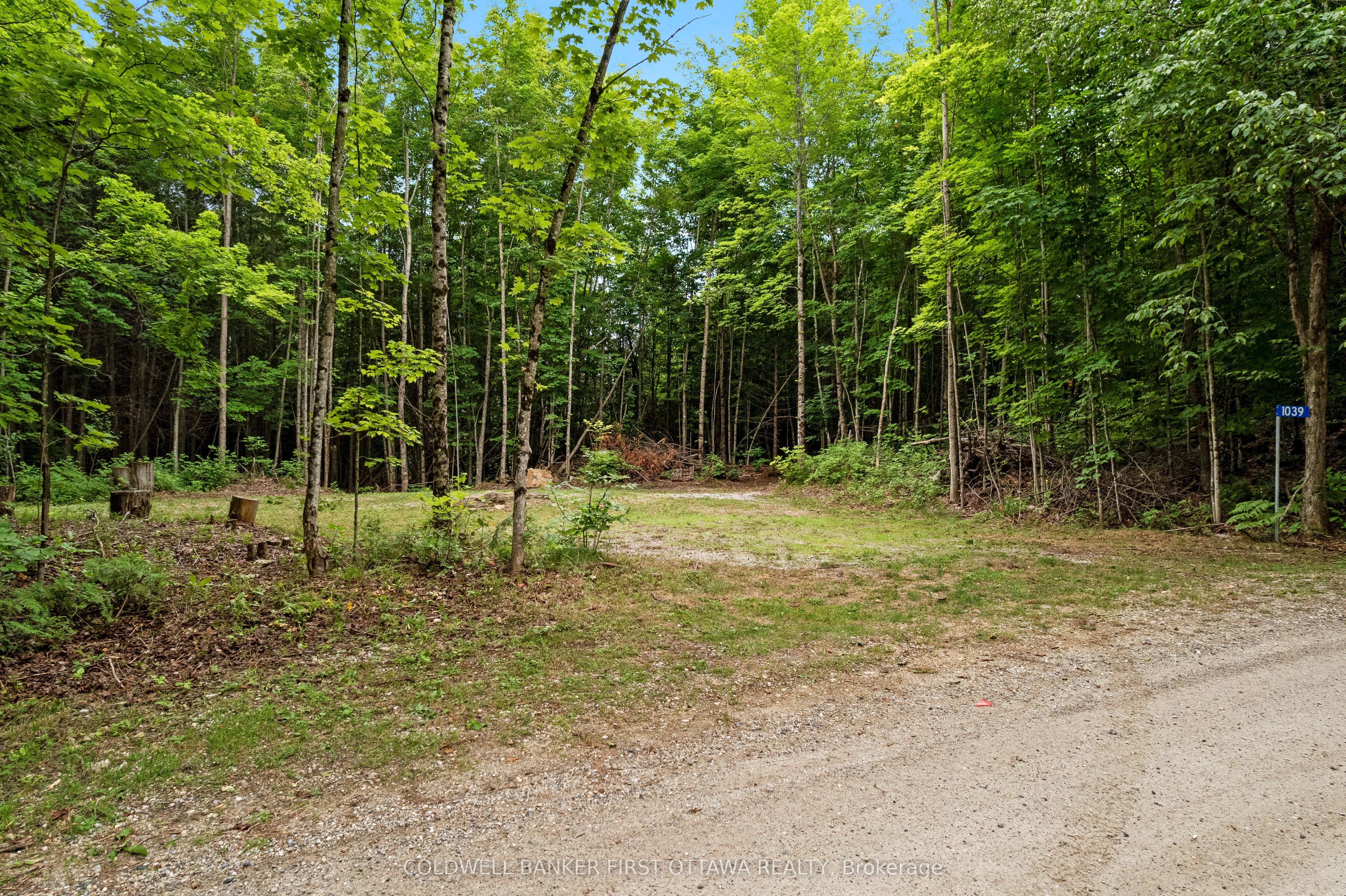 1039 Sunset Strip Lane Property Photo 18