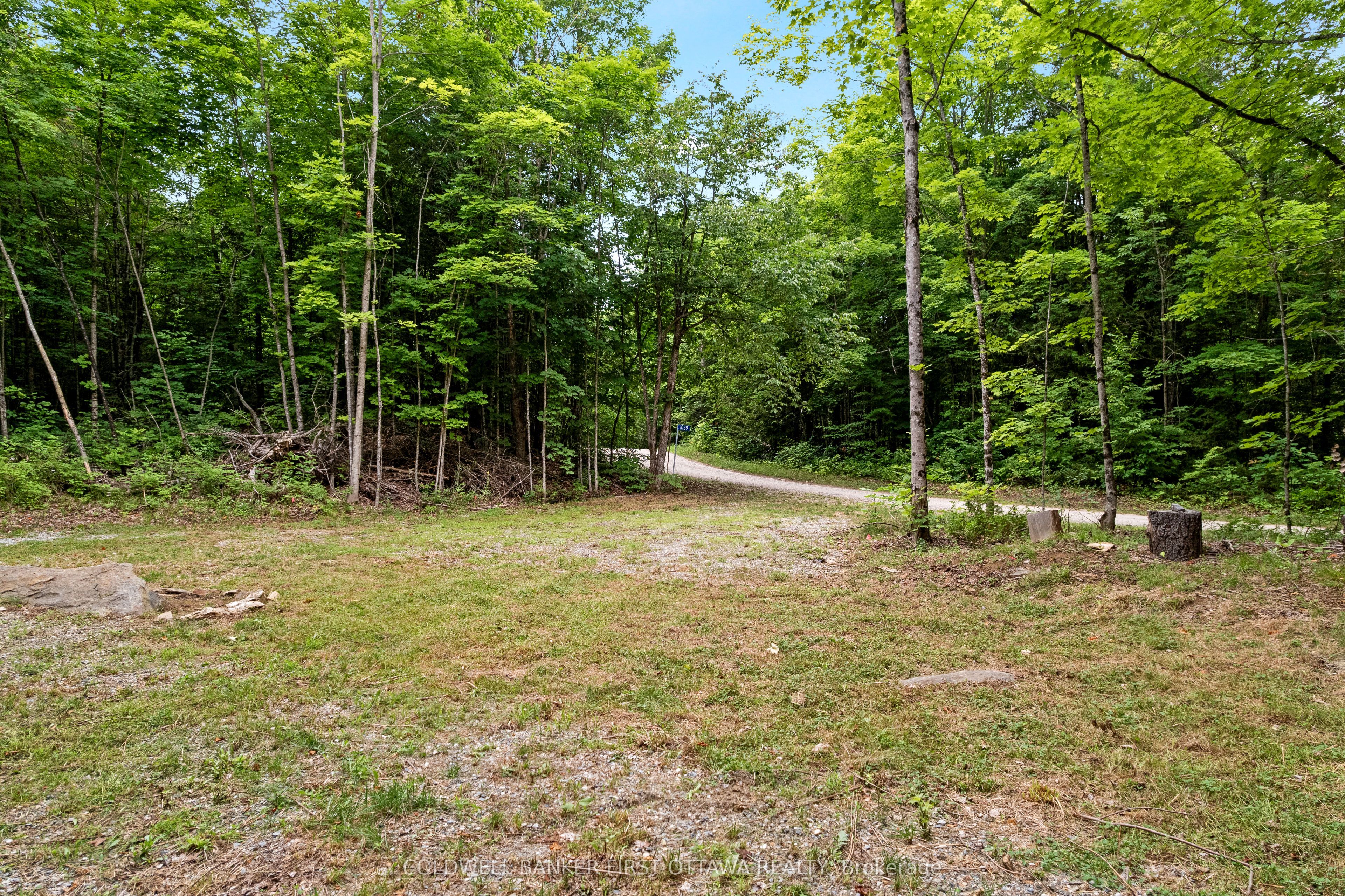 1039 Sunset Strip Lane Property Photo 22