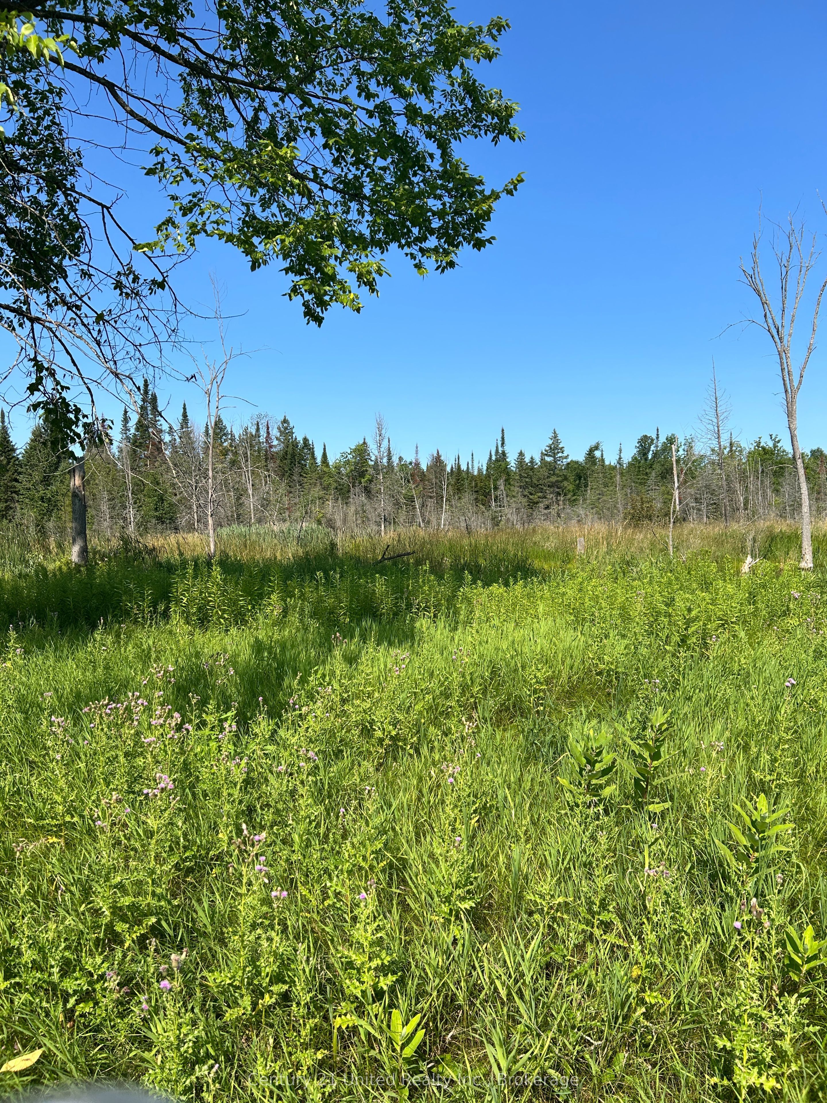 00 Highway 7 Property Photo 2